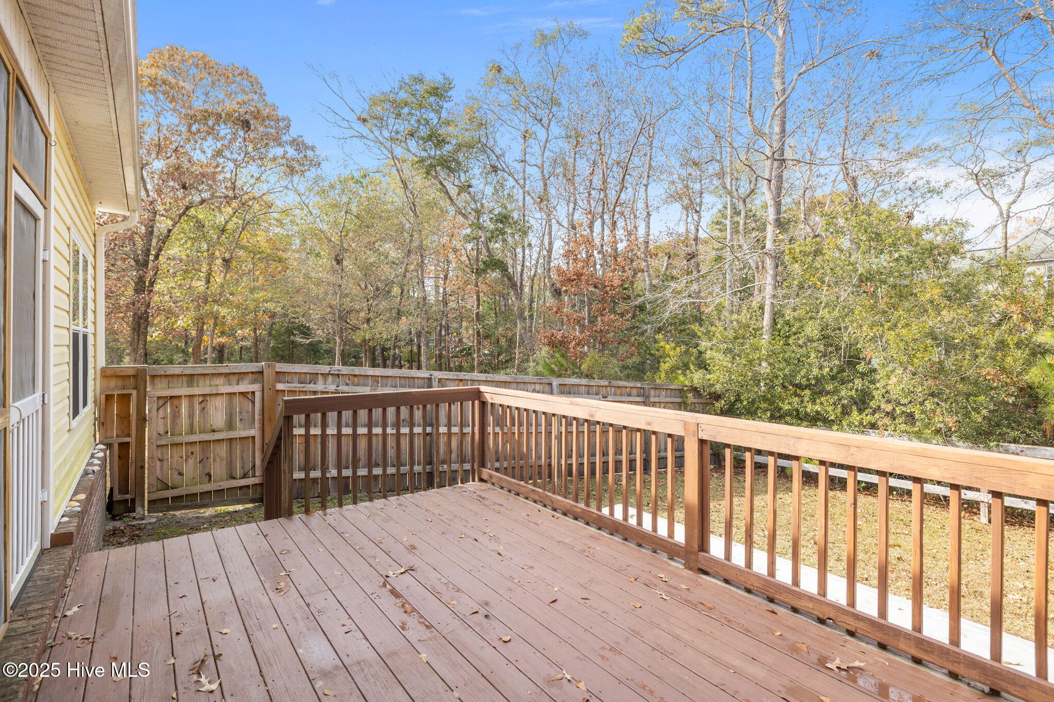 100544125 | Photo 35