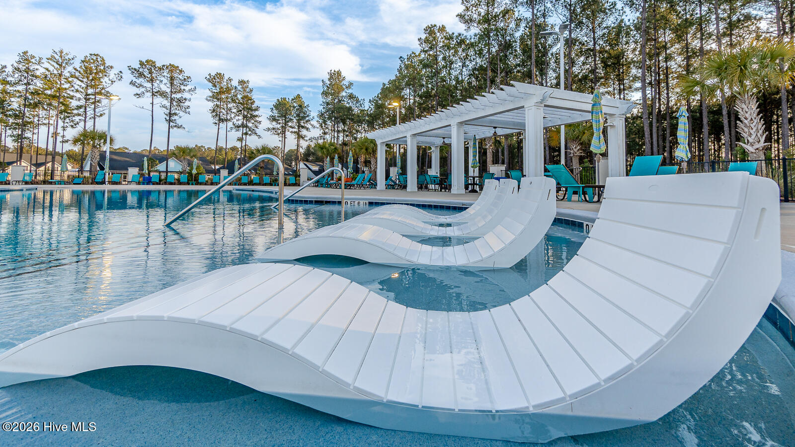 100555037 | Photo 60