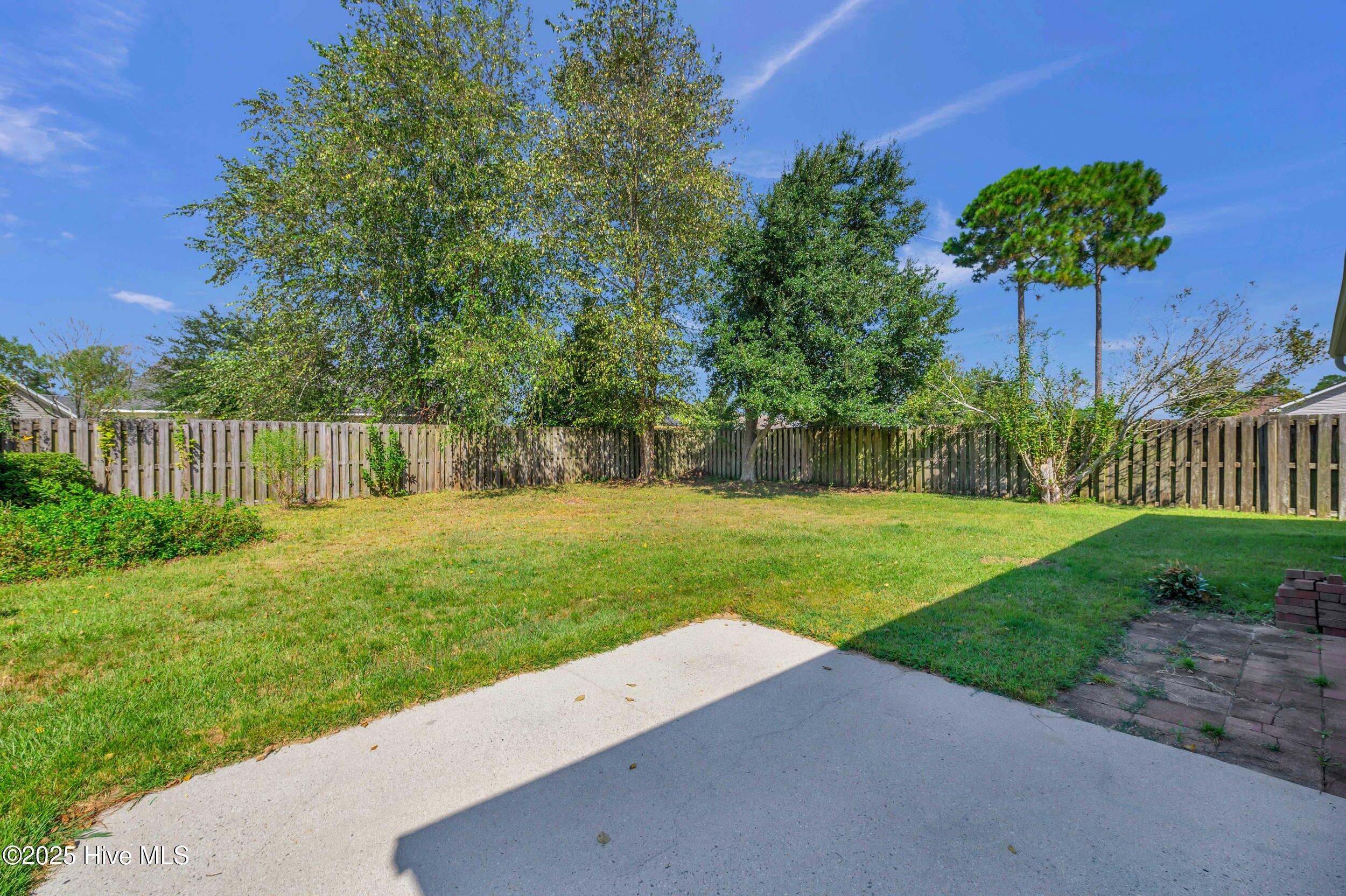 100531255 | Photo 36