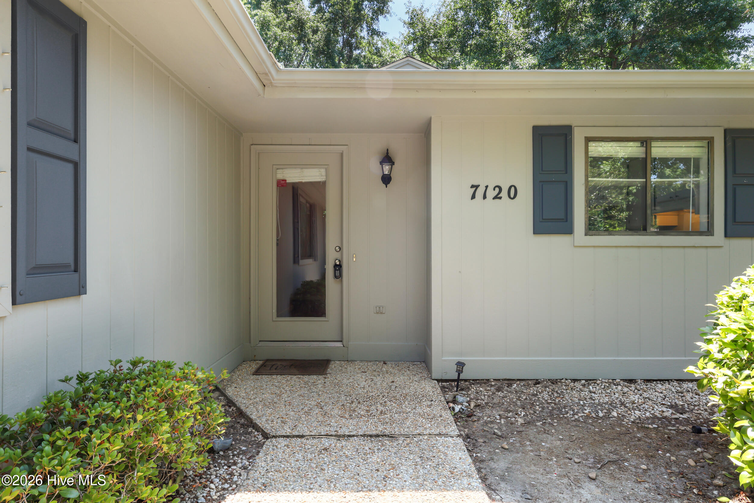 100569768 | Photo 14