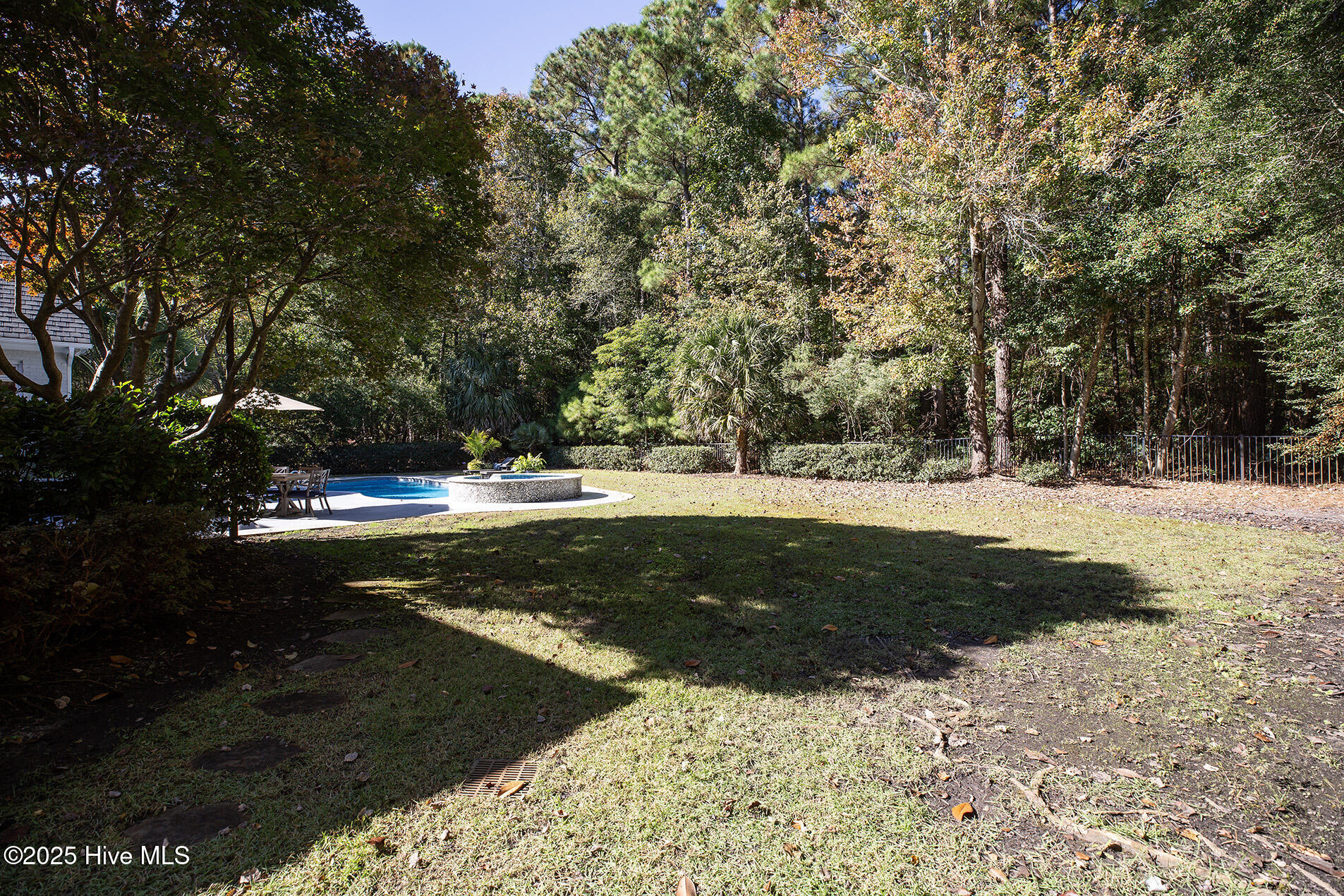 100541349 | Photo 63