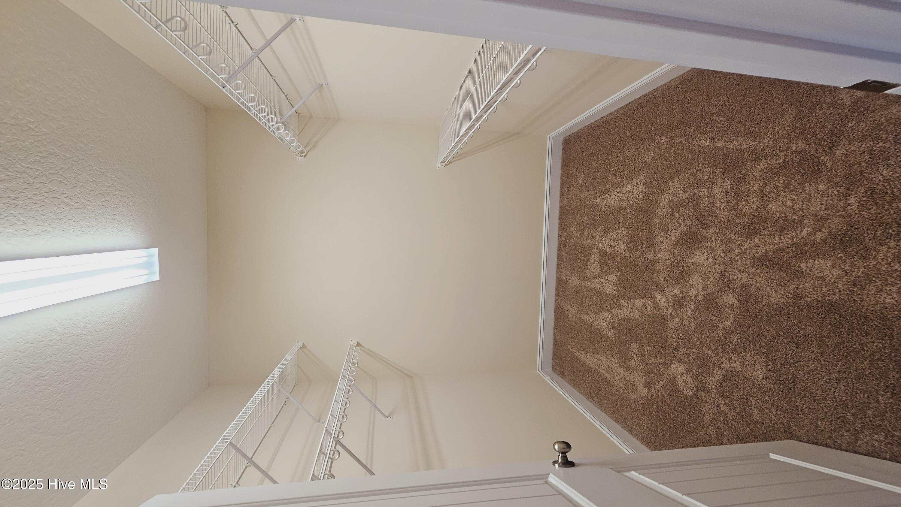 100533971 | Photo 18