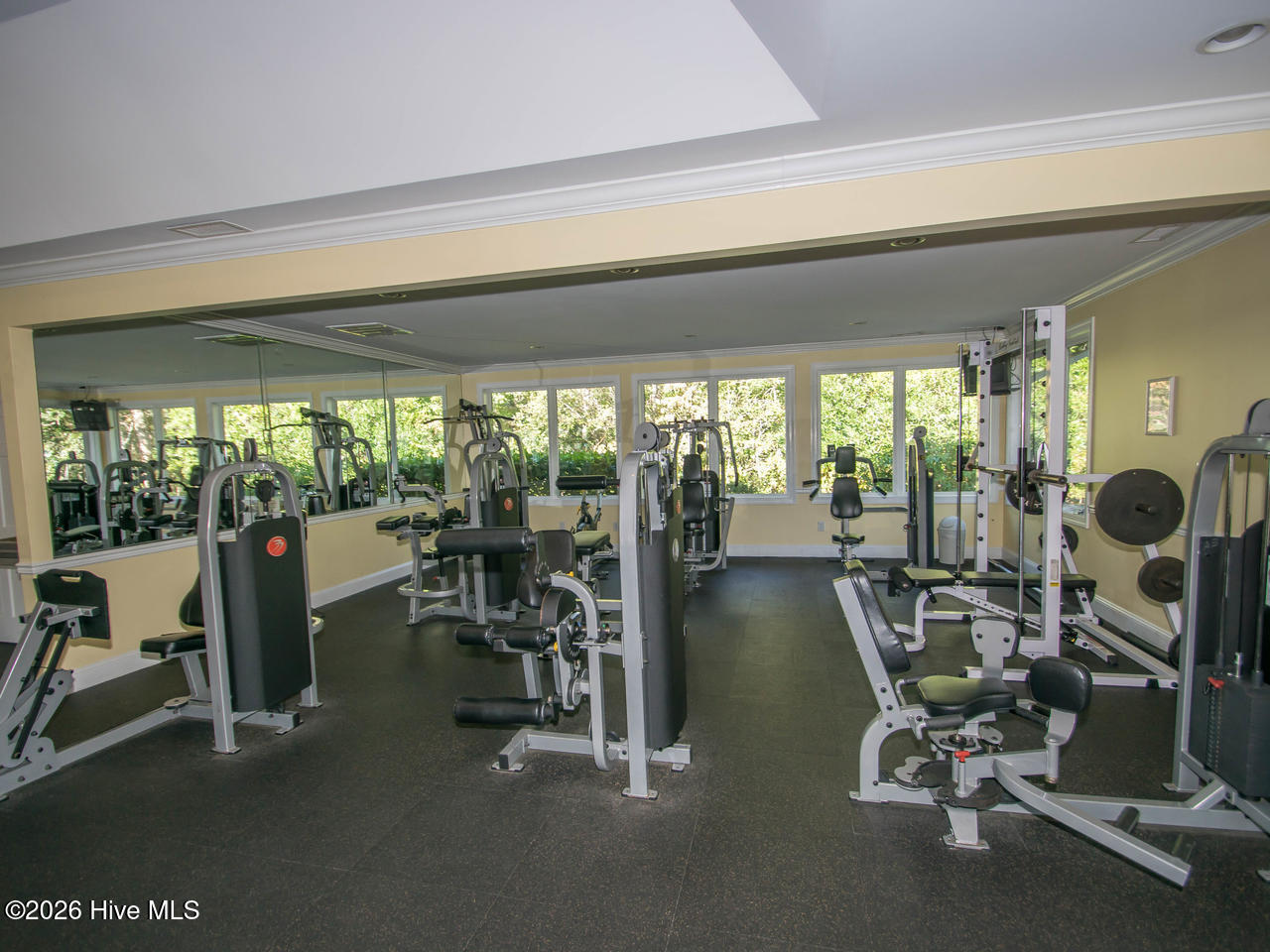 100559820 | Photo 23