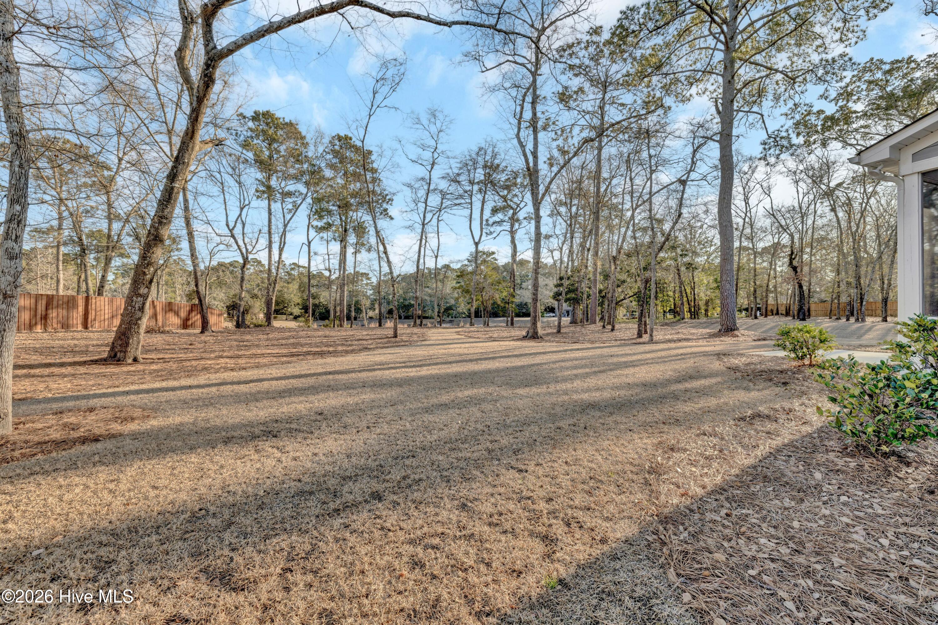 100551987 | Photo 42