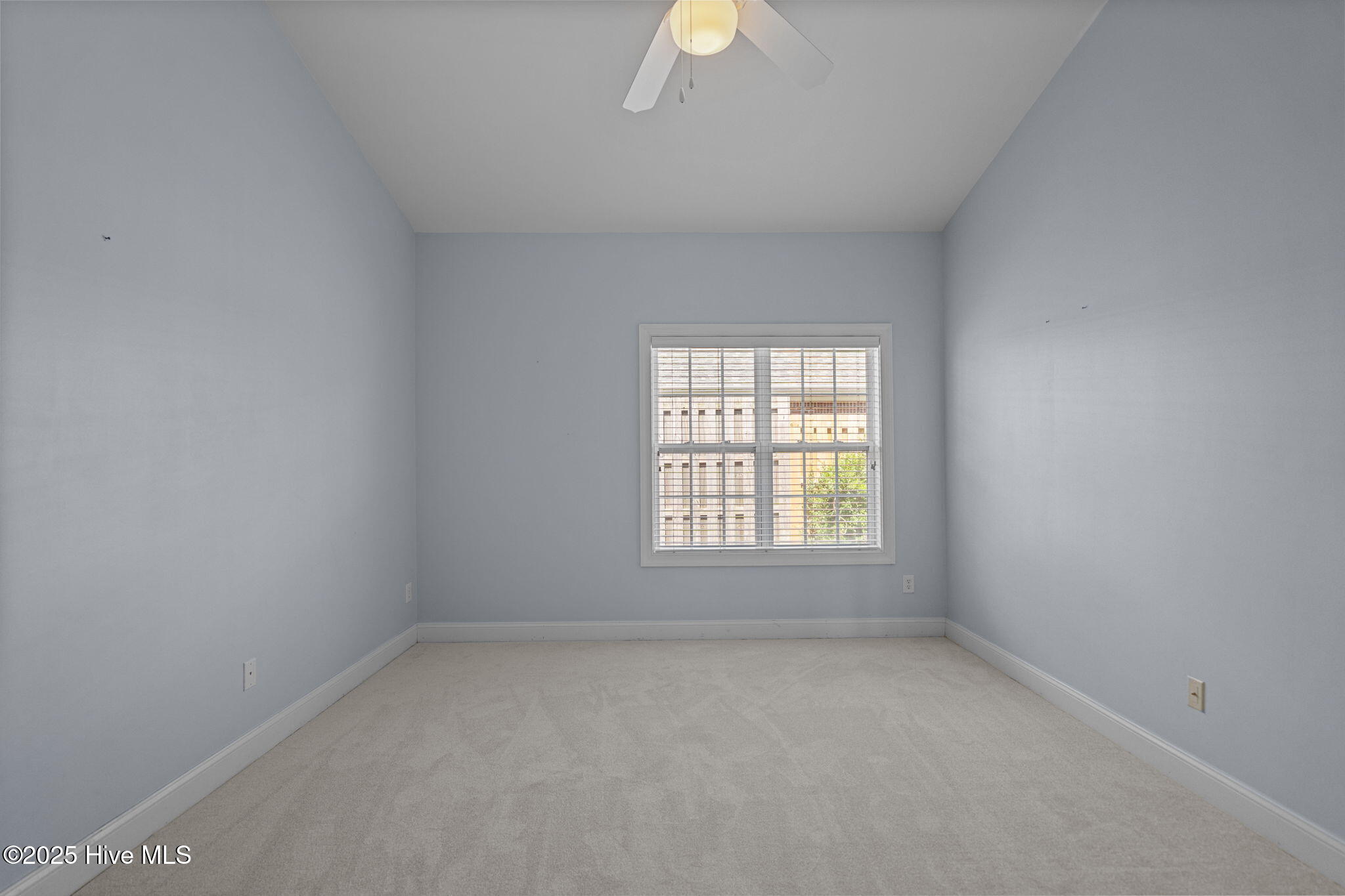 100559458 | Photo 22