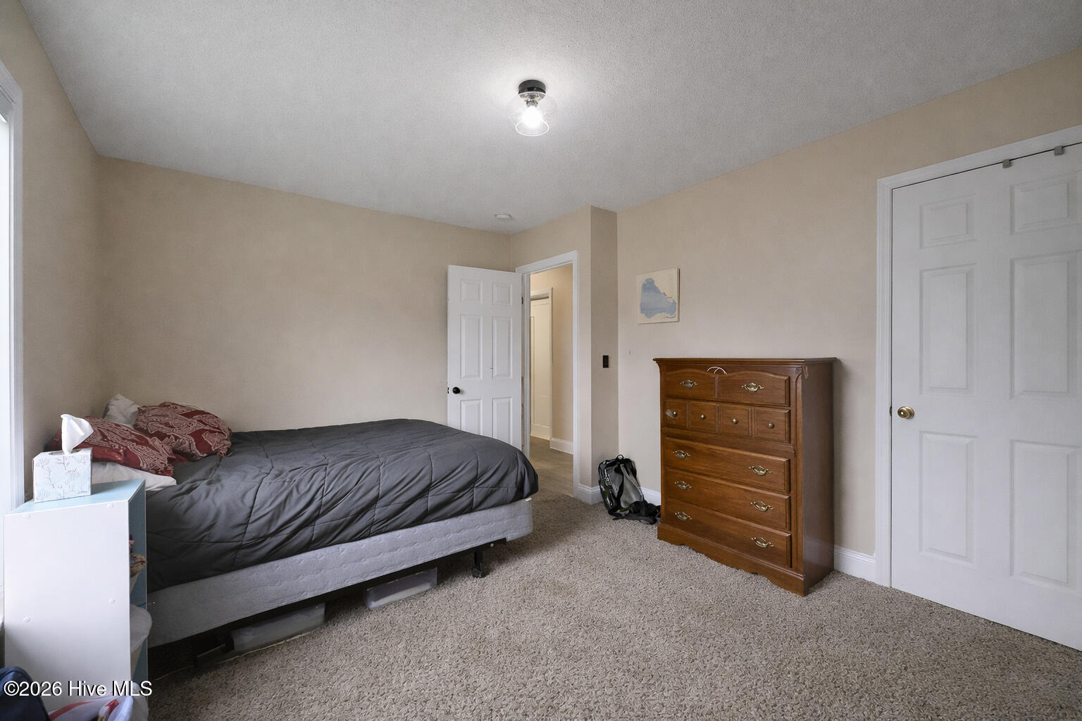 100562387 | Photo 30