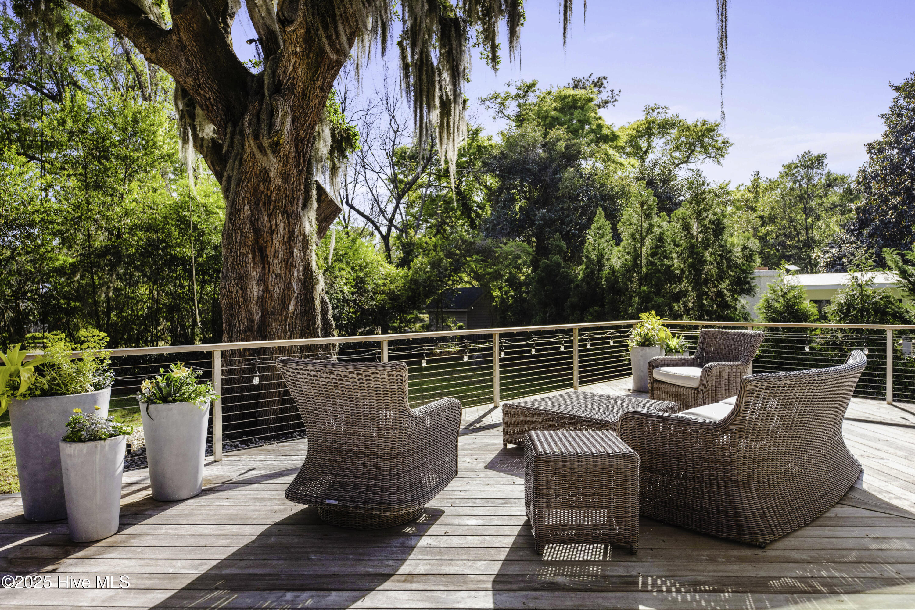 100555228 | Photo 65