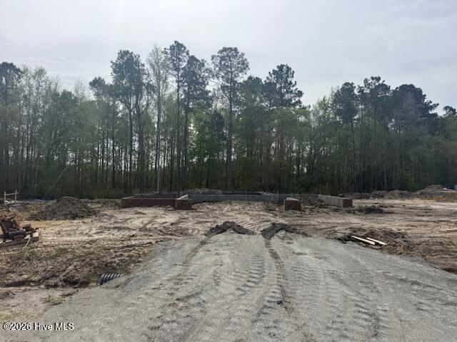 100563433 | Photo 37