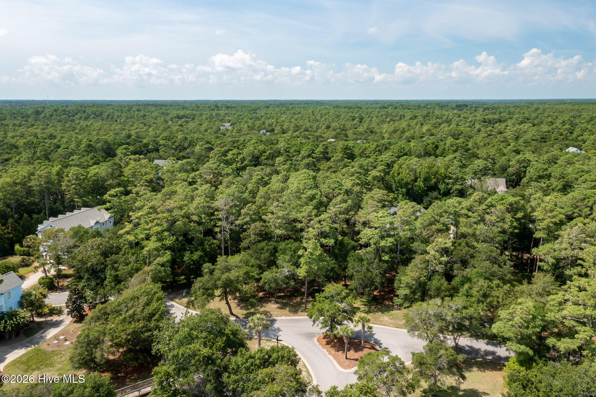 100559457 | Photo 11