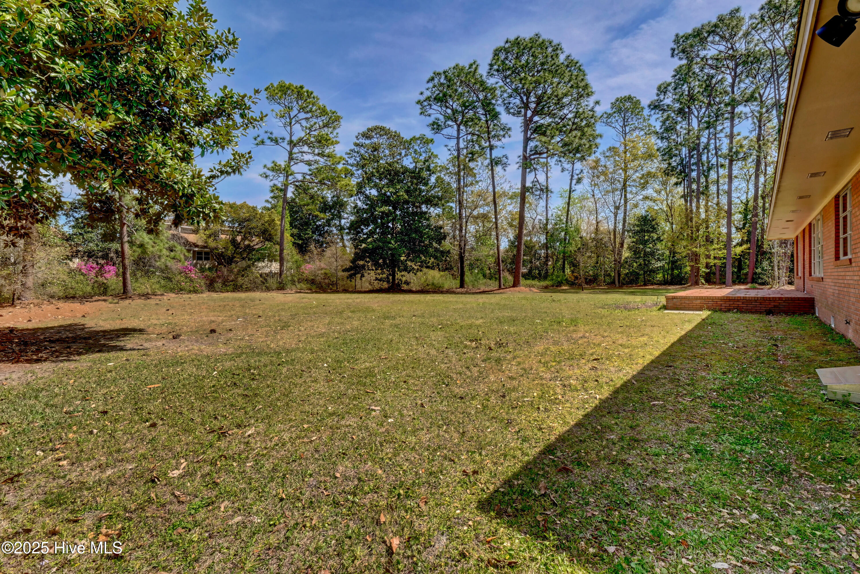 100536317 | Photo 35