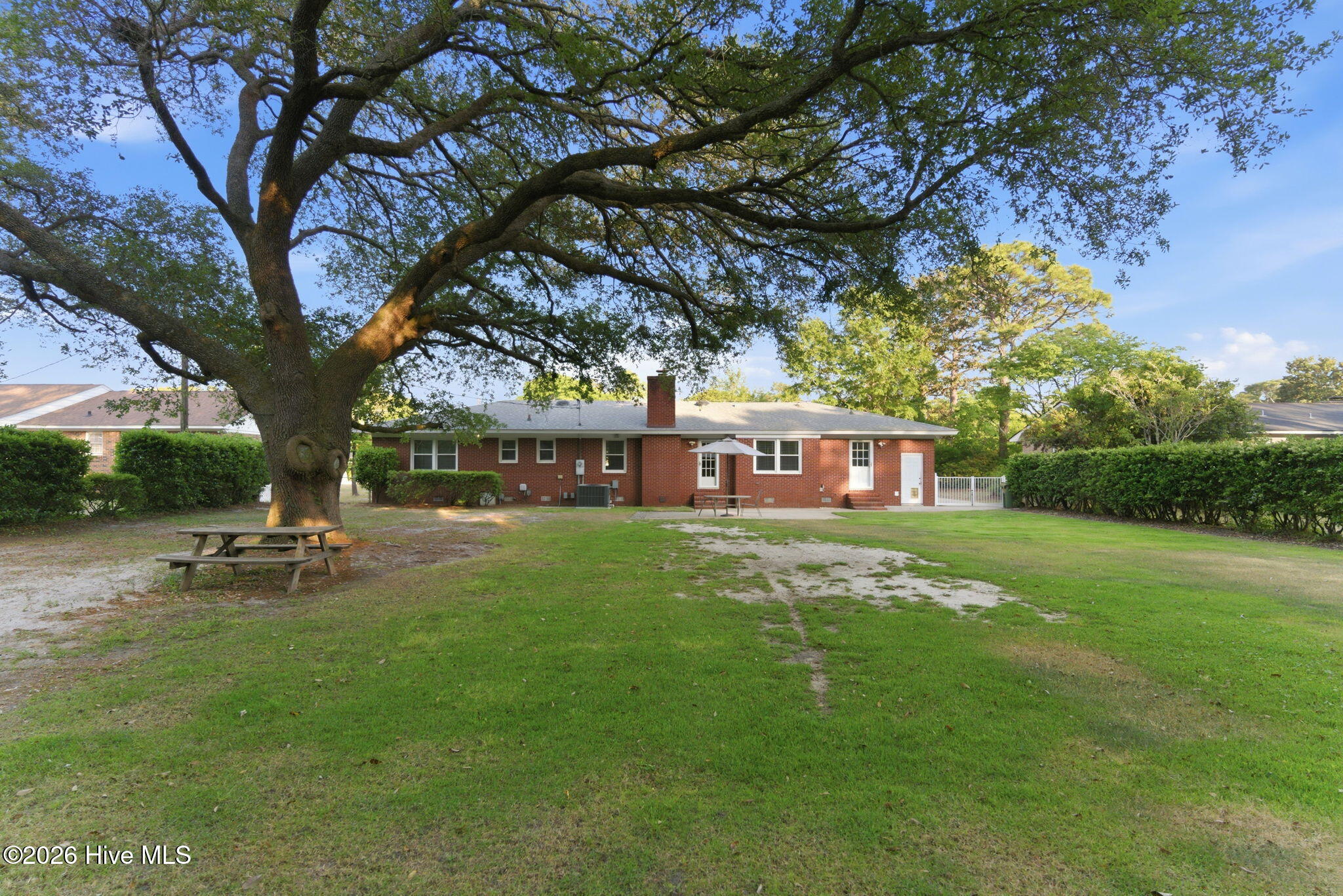 100569519 | Photo 44