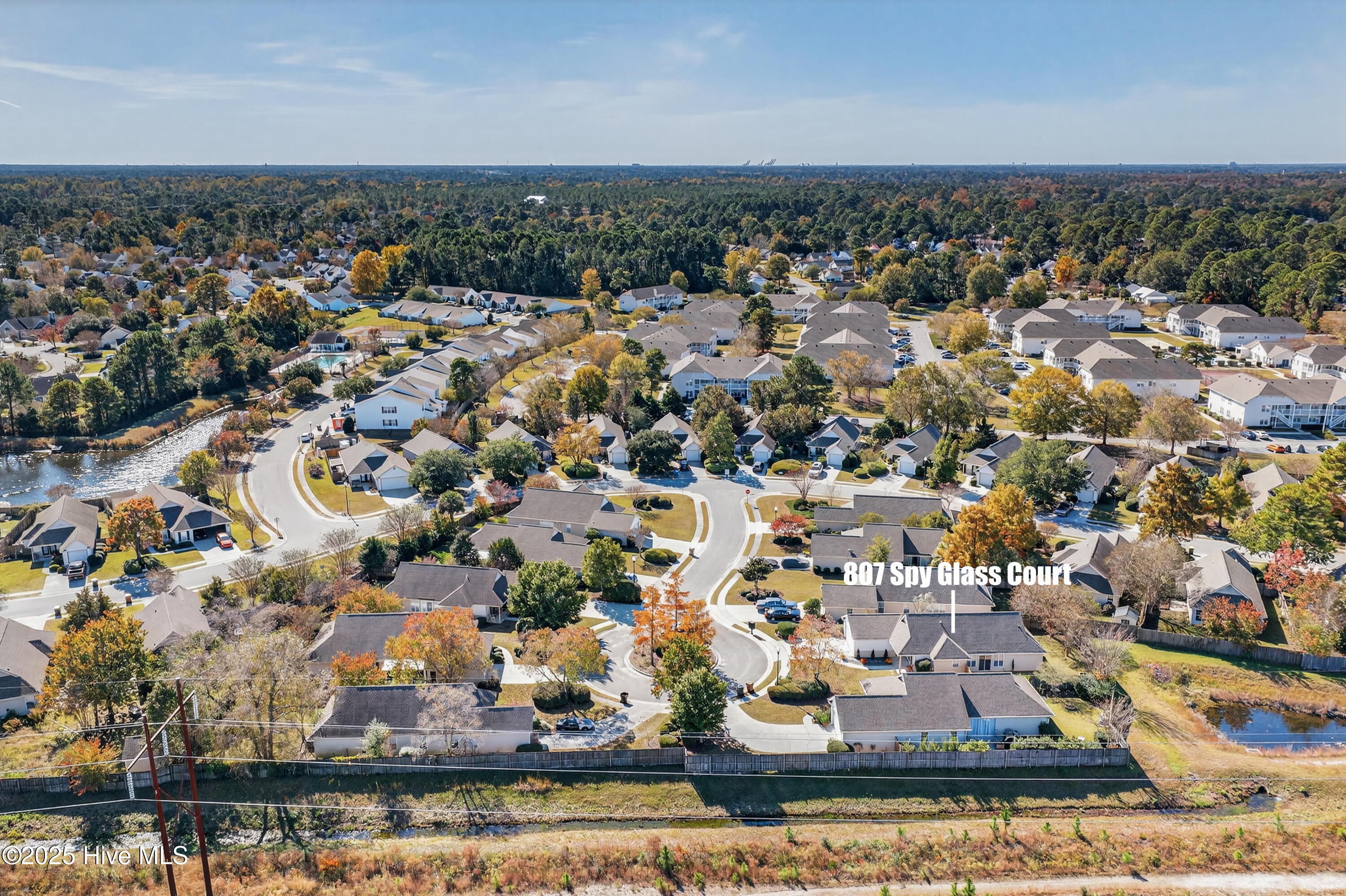 100541920 | Photo 38