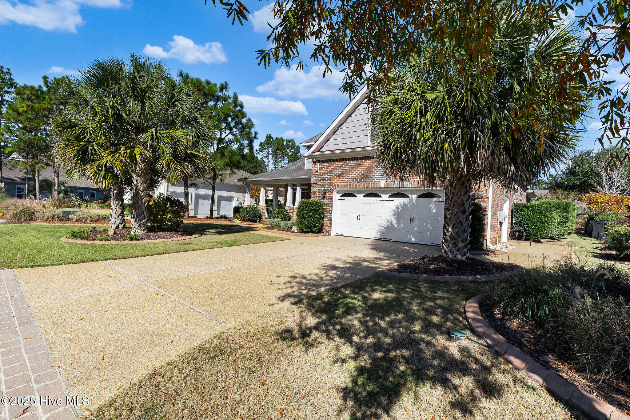 100541913 | Photo 12