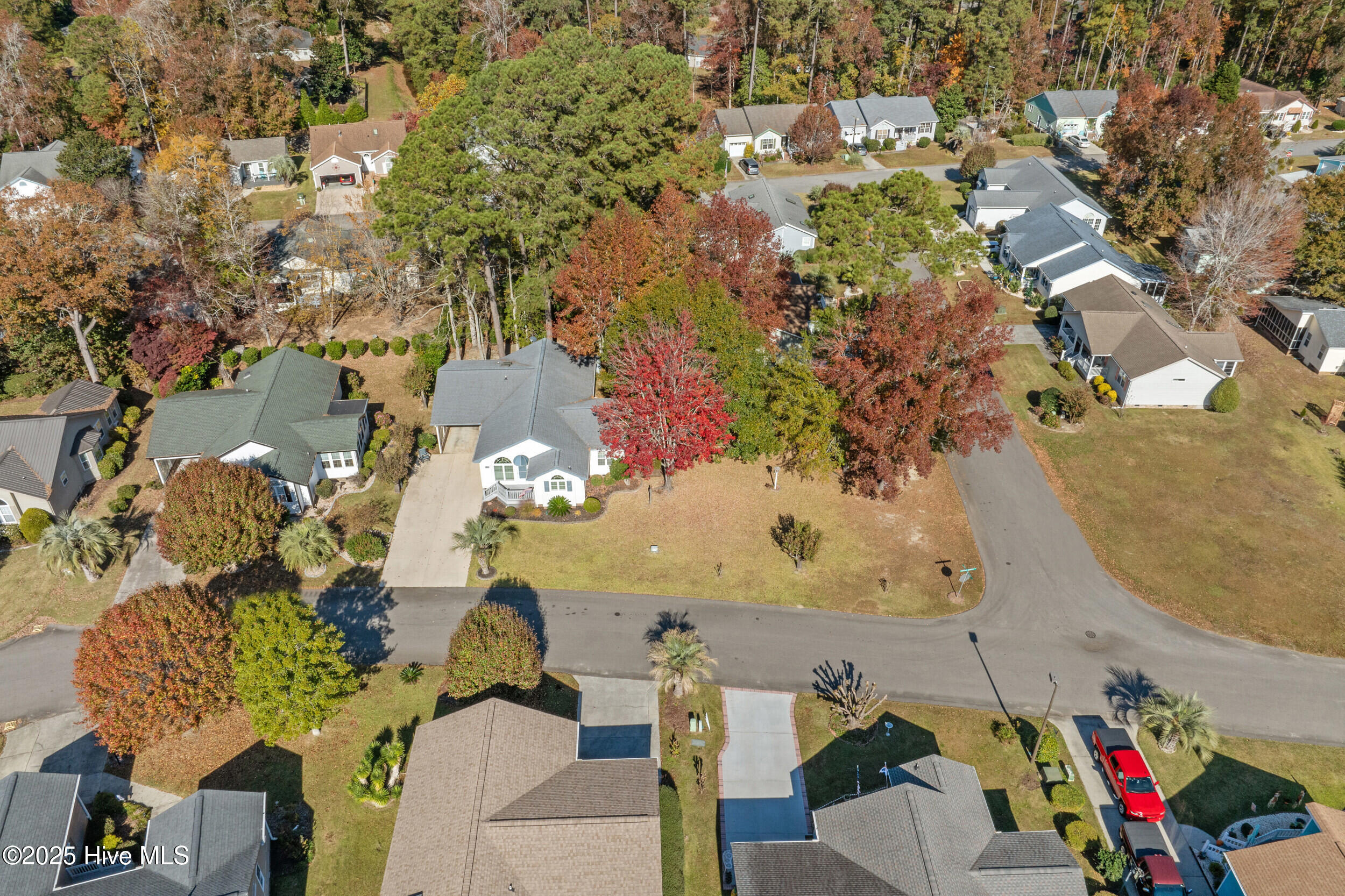 100542117 | Photo 43