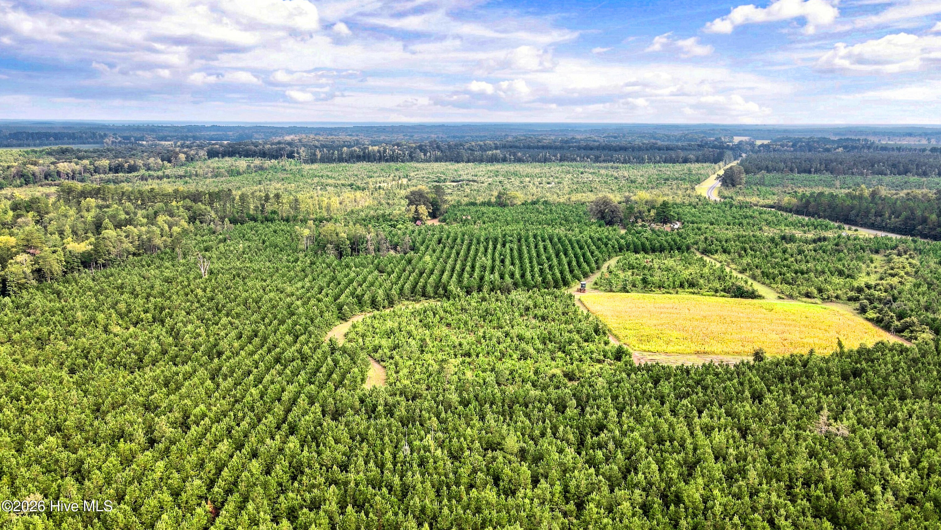 795 Pollard Swamp Road,Vanceboro