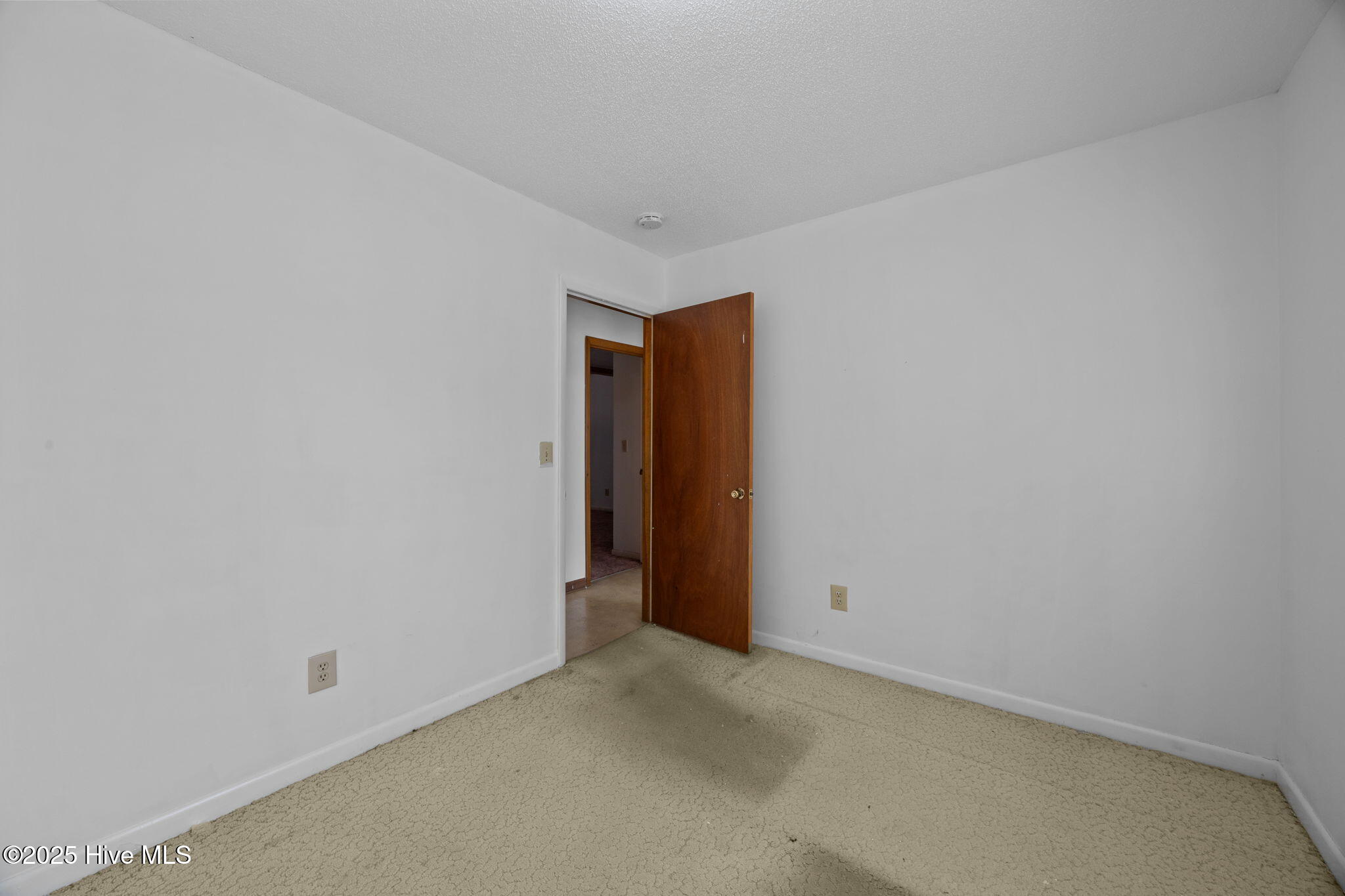 100542323 | Photo 17