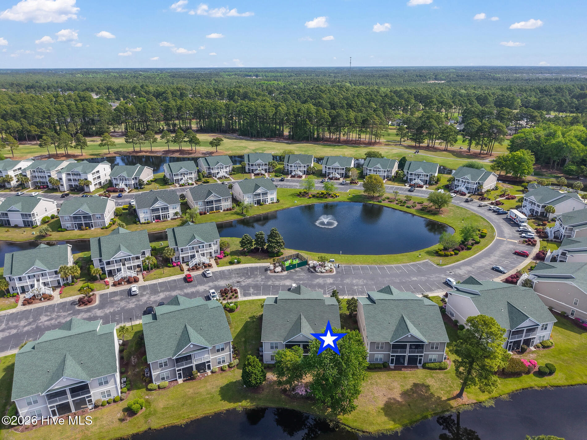 100566917 | Photo 36