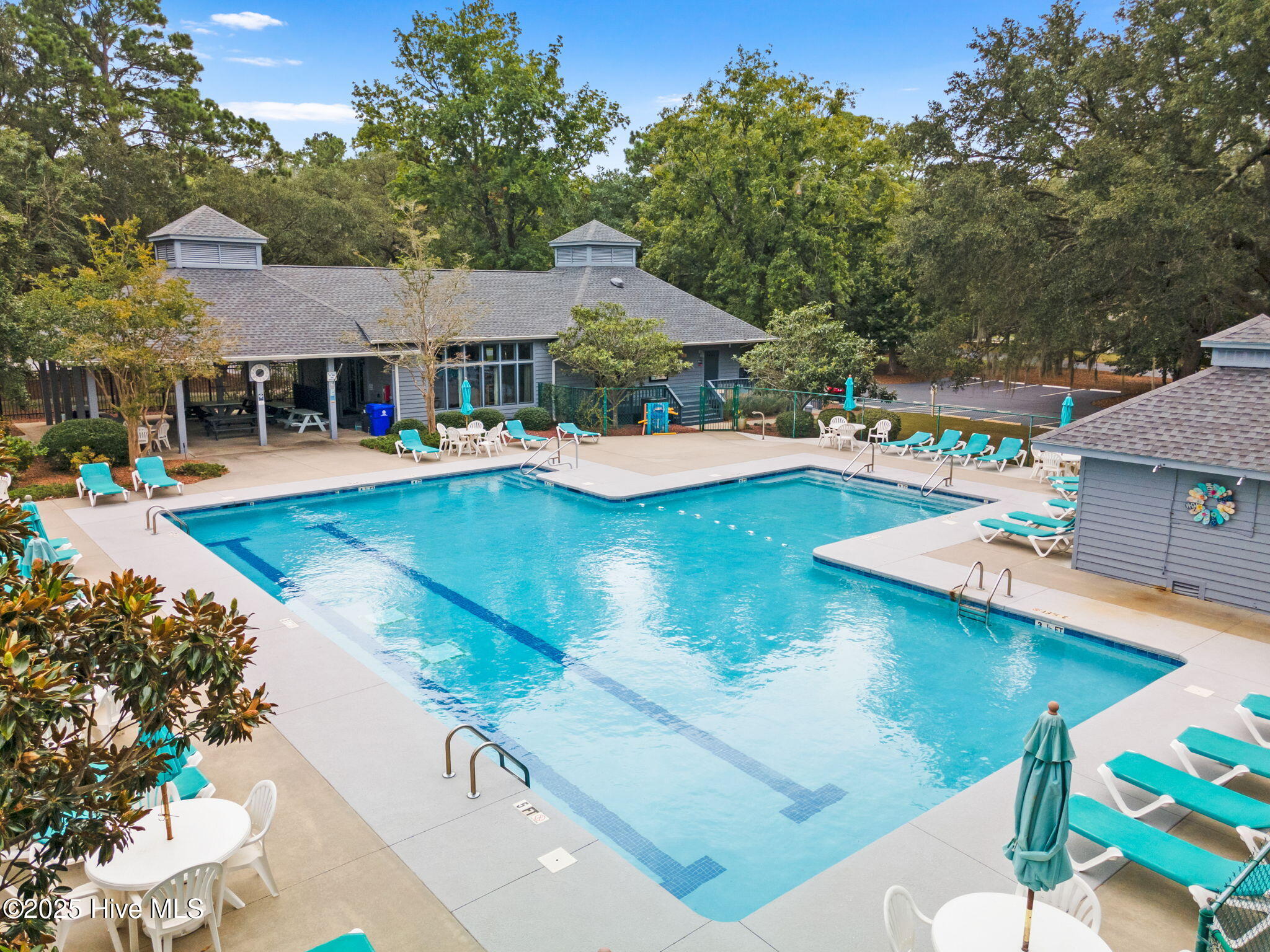 100497735 | Photo 36