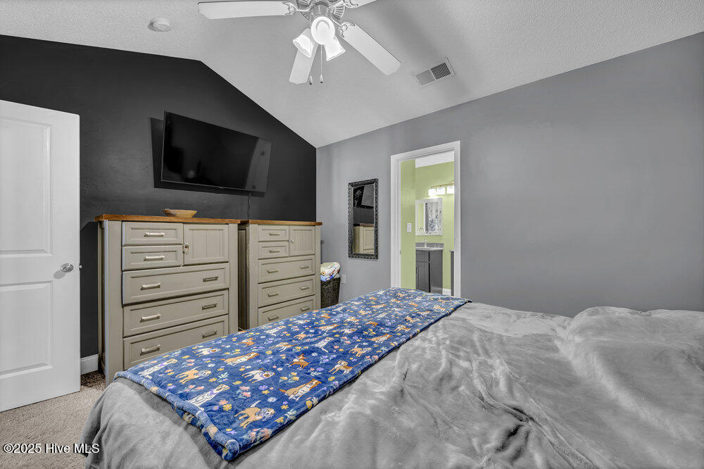 100537257 | Photo 14