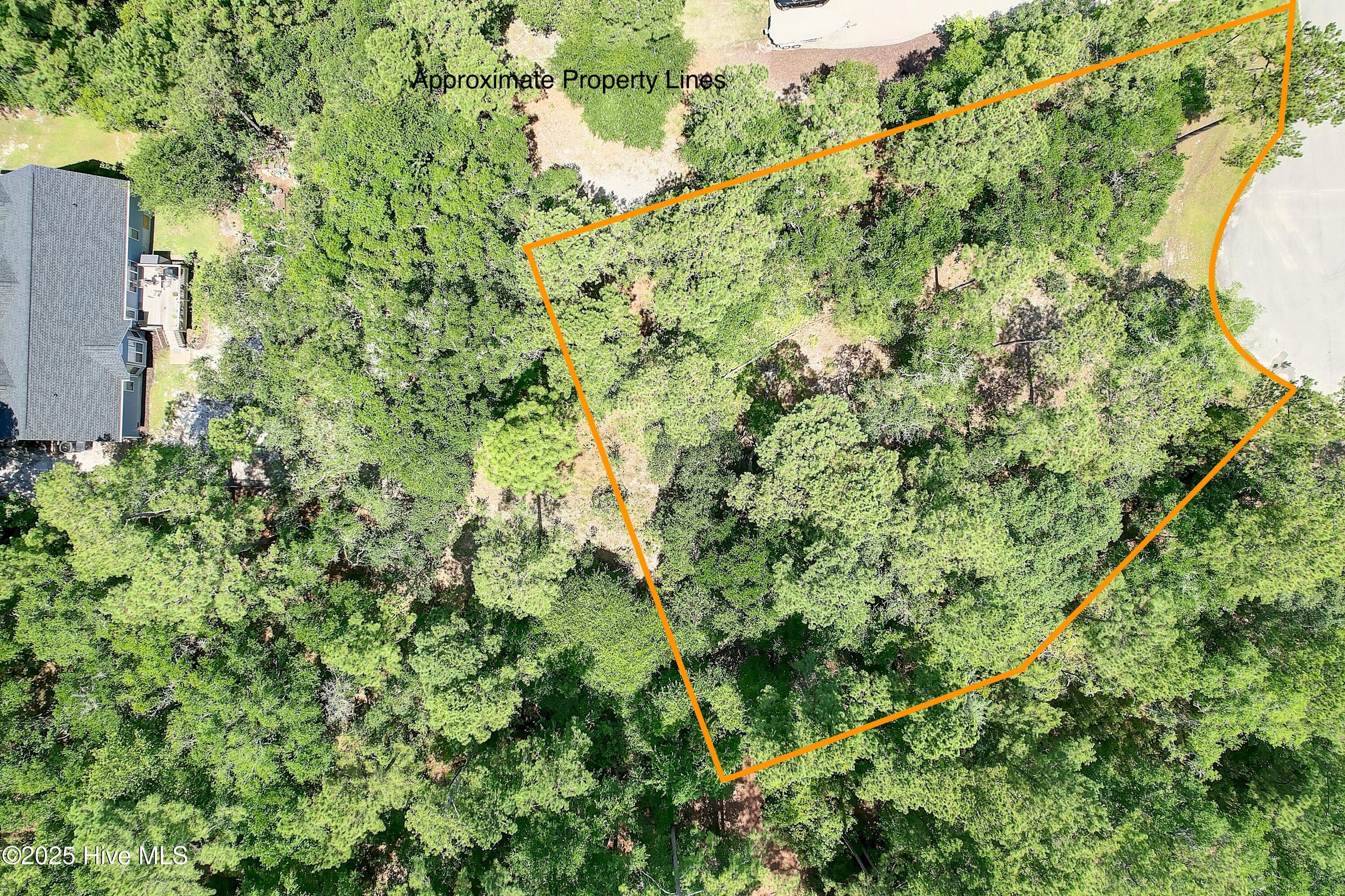 100515892 | Photo 21