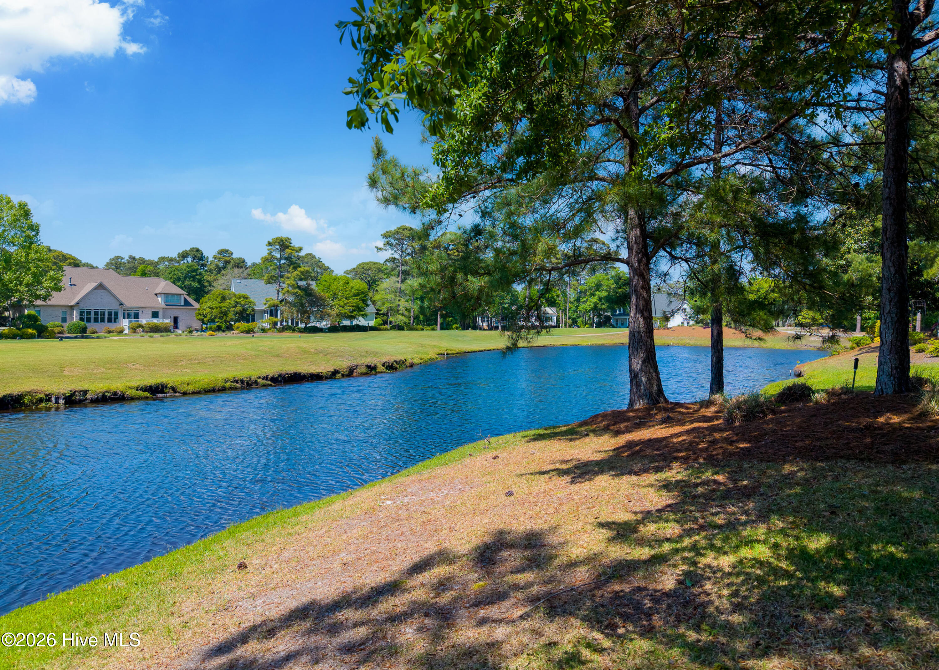 100569454 | Photo 66