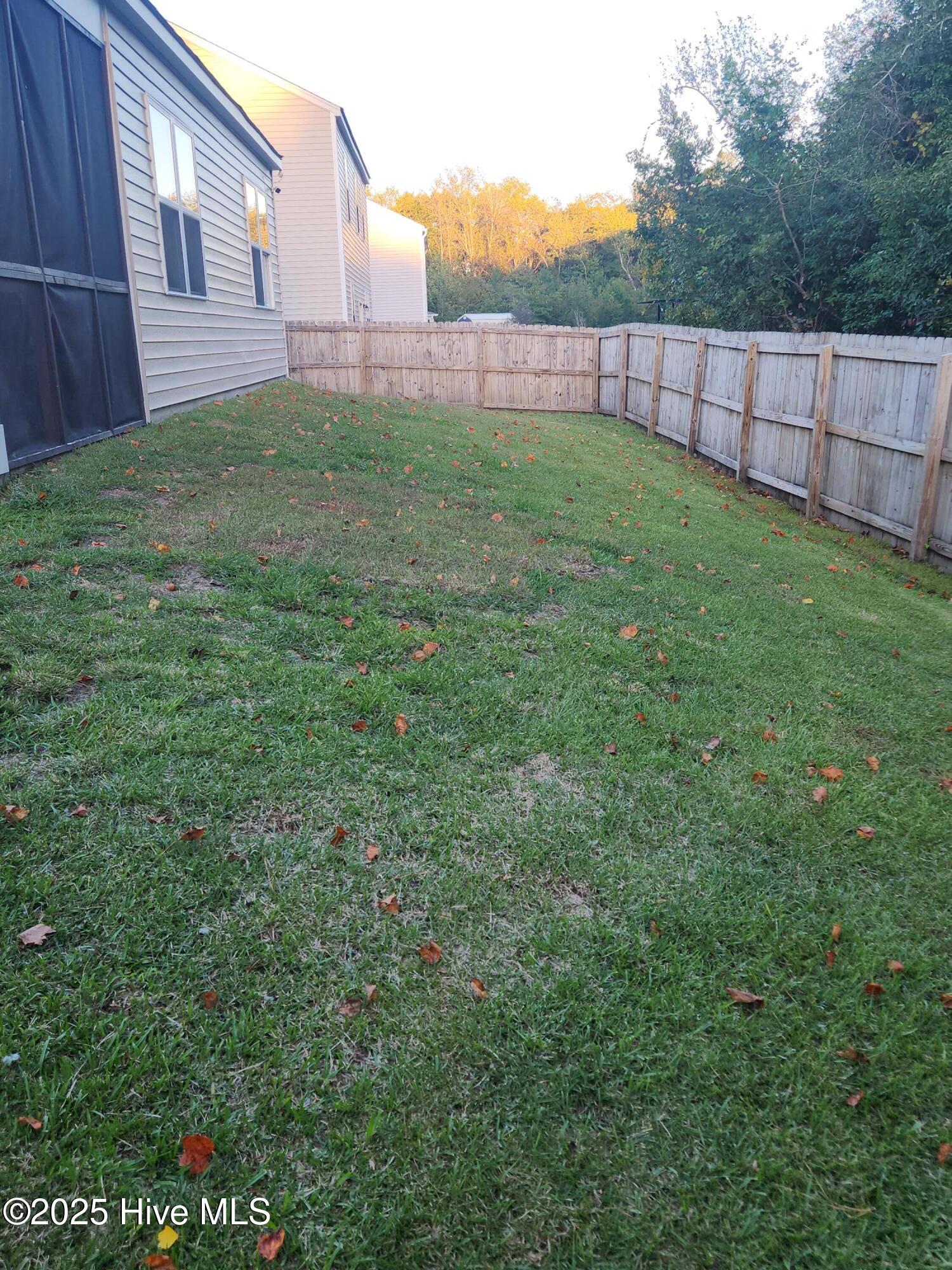 100539235 | Photo 38