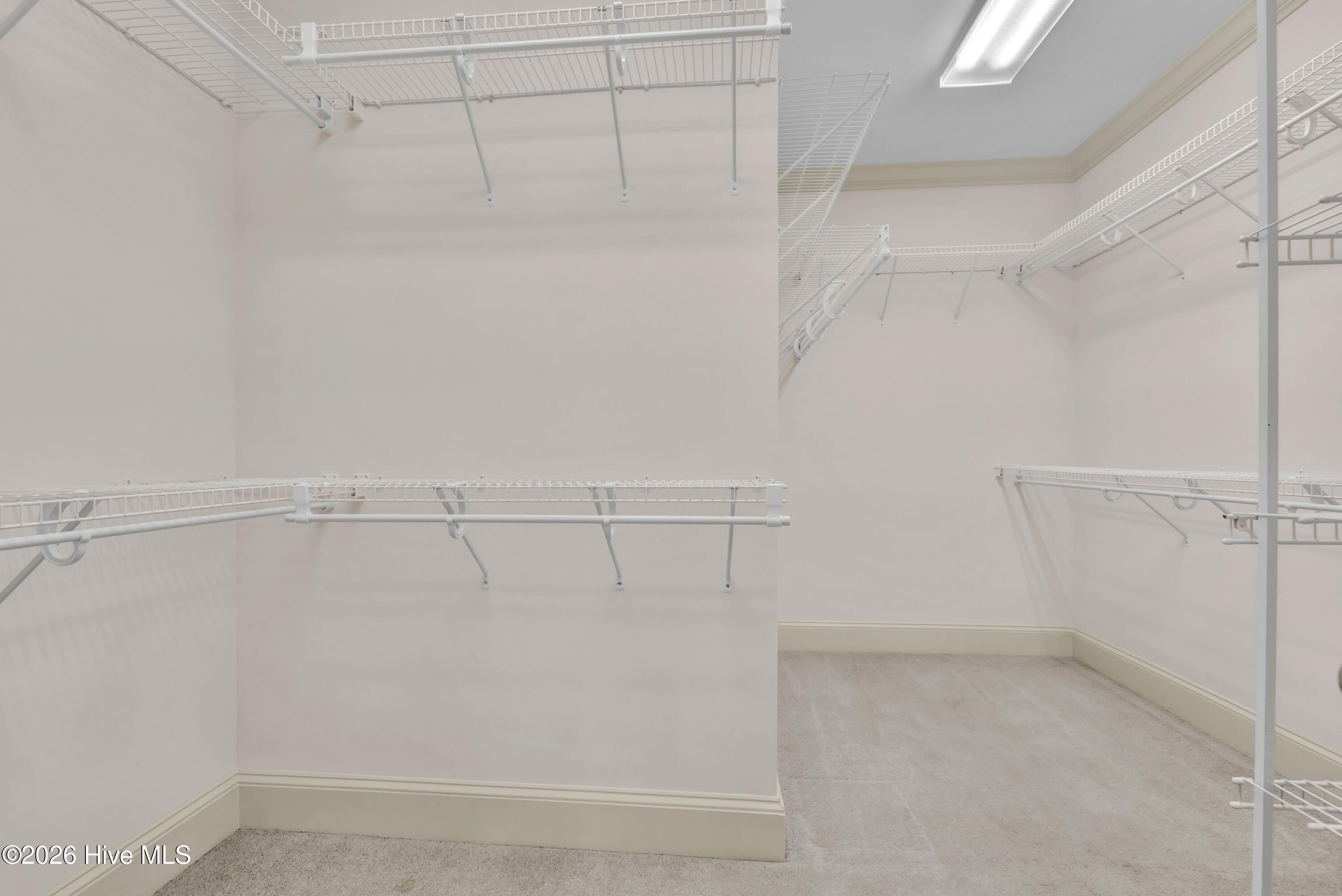 100556623 | Photo 28