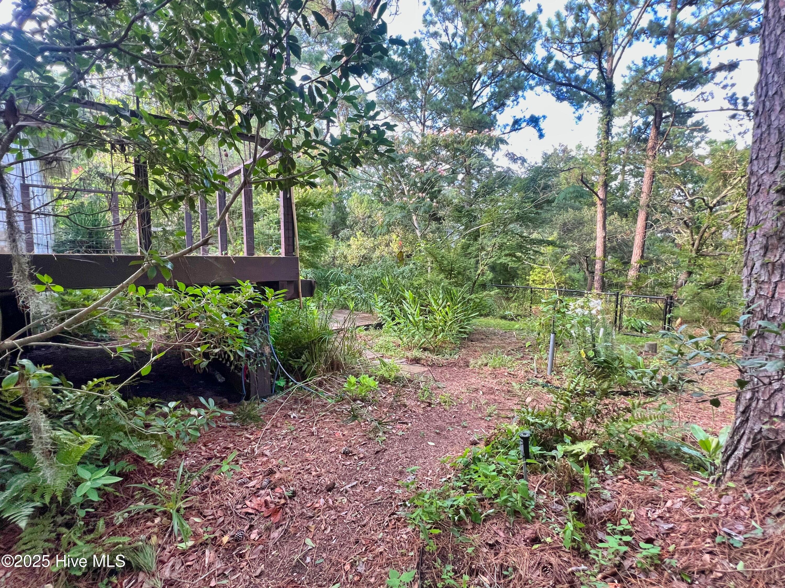 100521049 | Photo 36