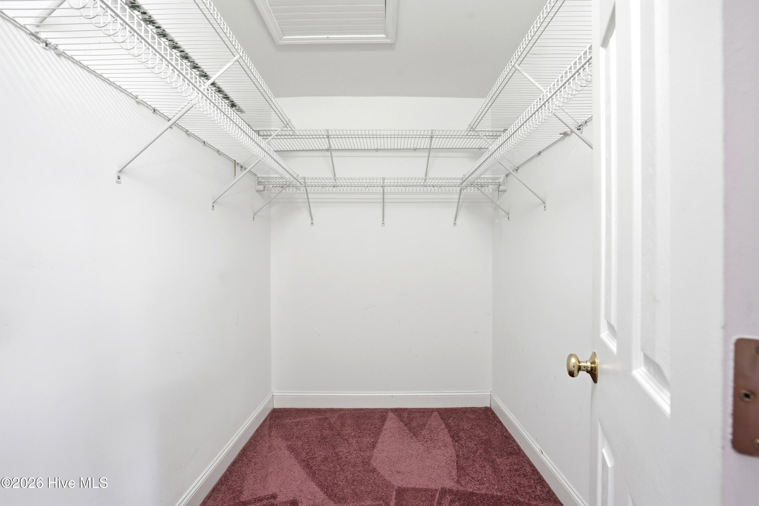 100562955 | Photo 33