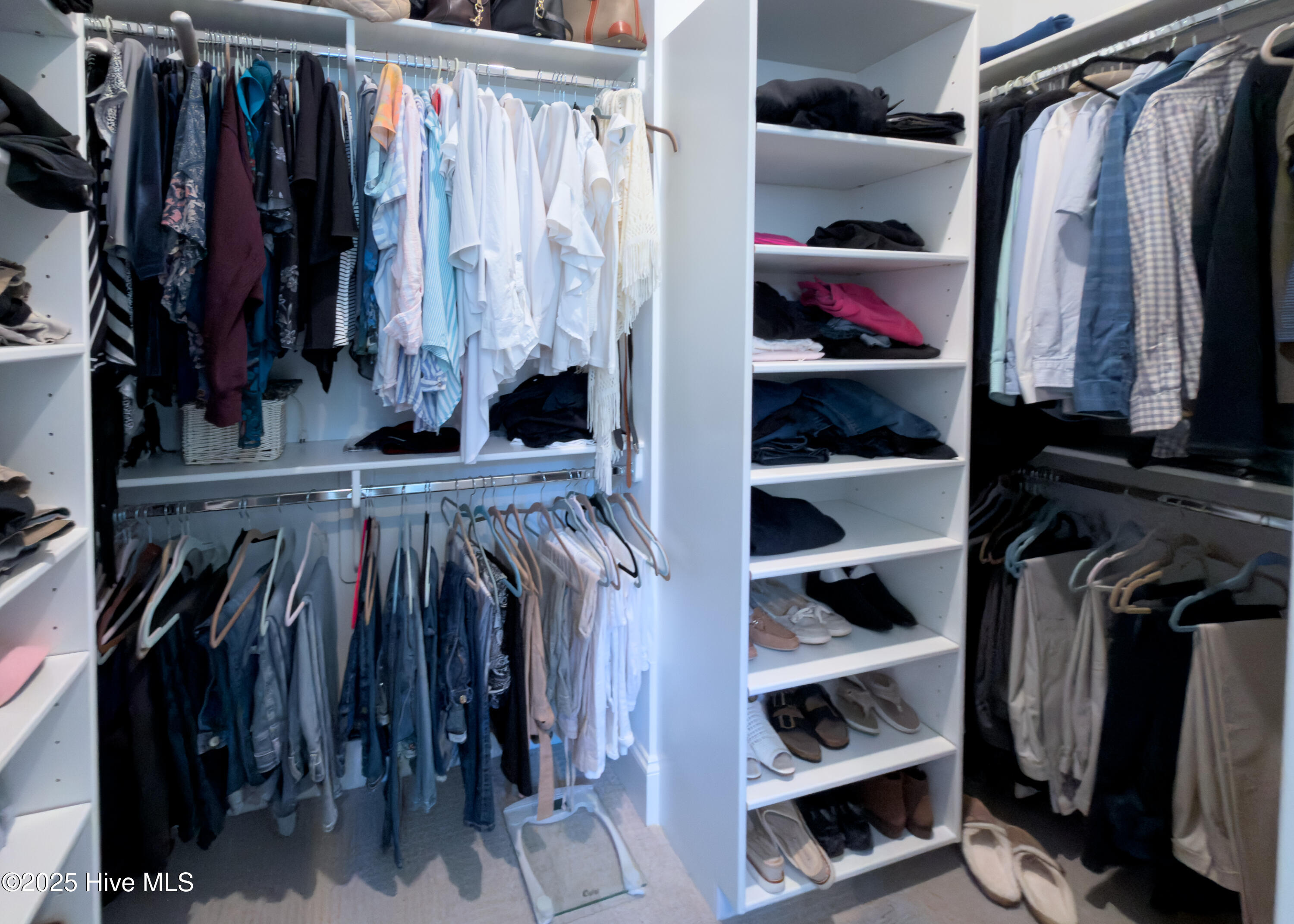 100539739 | Photo 25