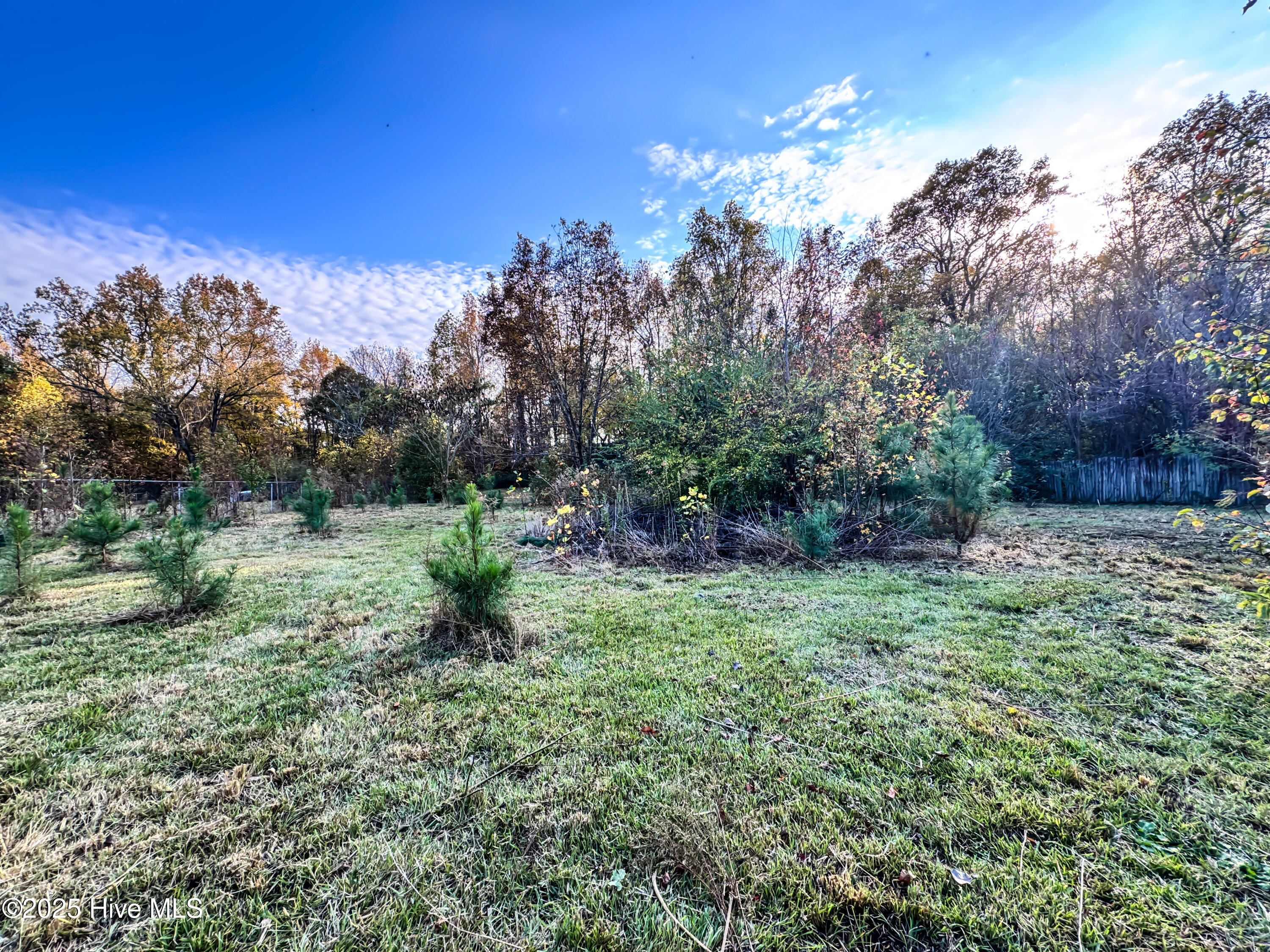 Homes for sale in Selma, NC | 1330 Campground Rd, Selma, NC 27576 | MLS# 100540392