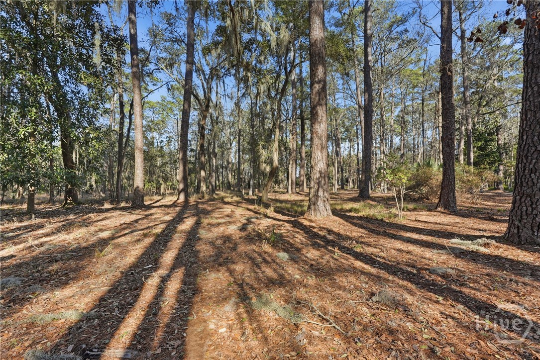 501 Wau Bun Drive, Savannah, GA, 31419