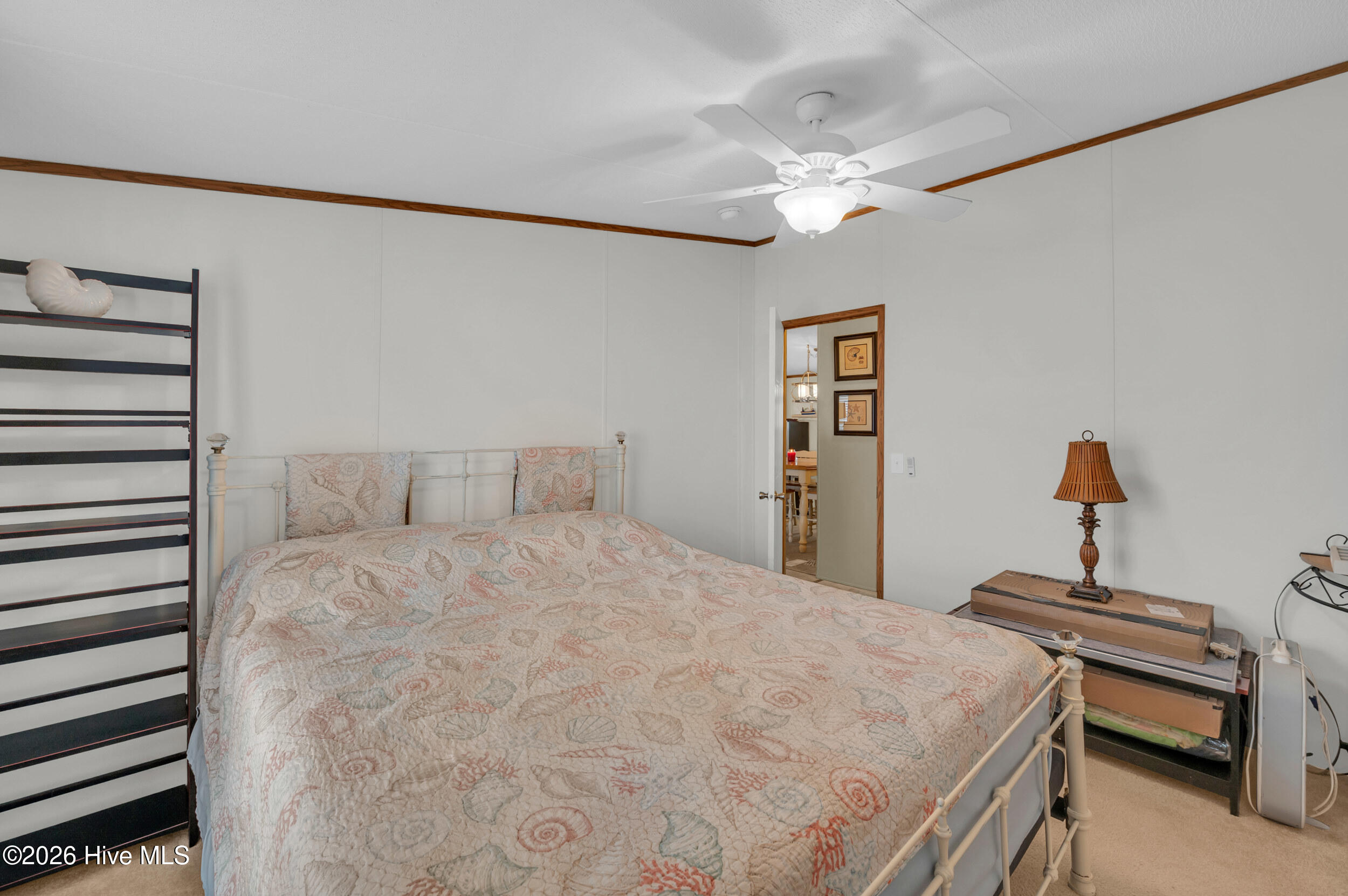 100550666 | Photo 20