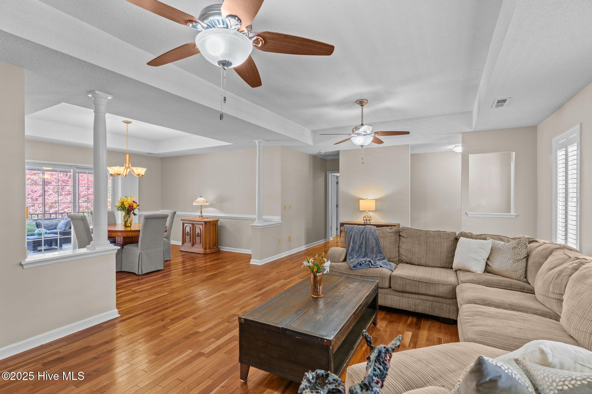 100543111 | Photo 11