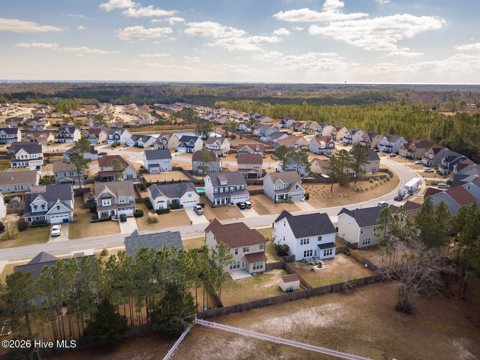 100558633 | Photo 45