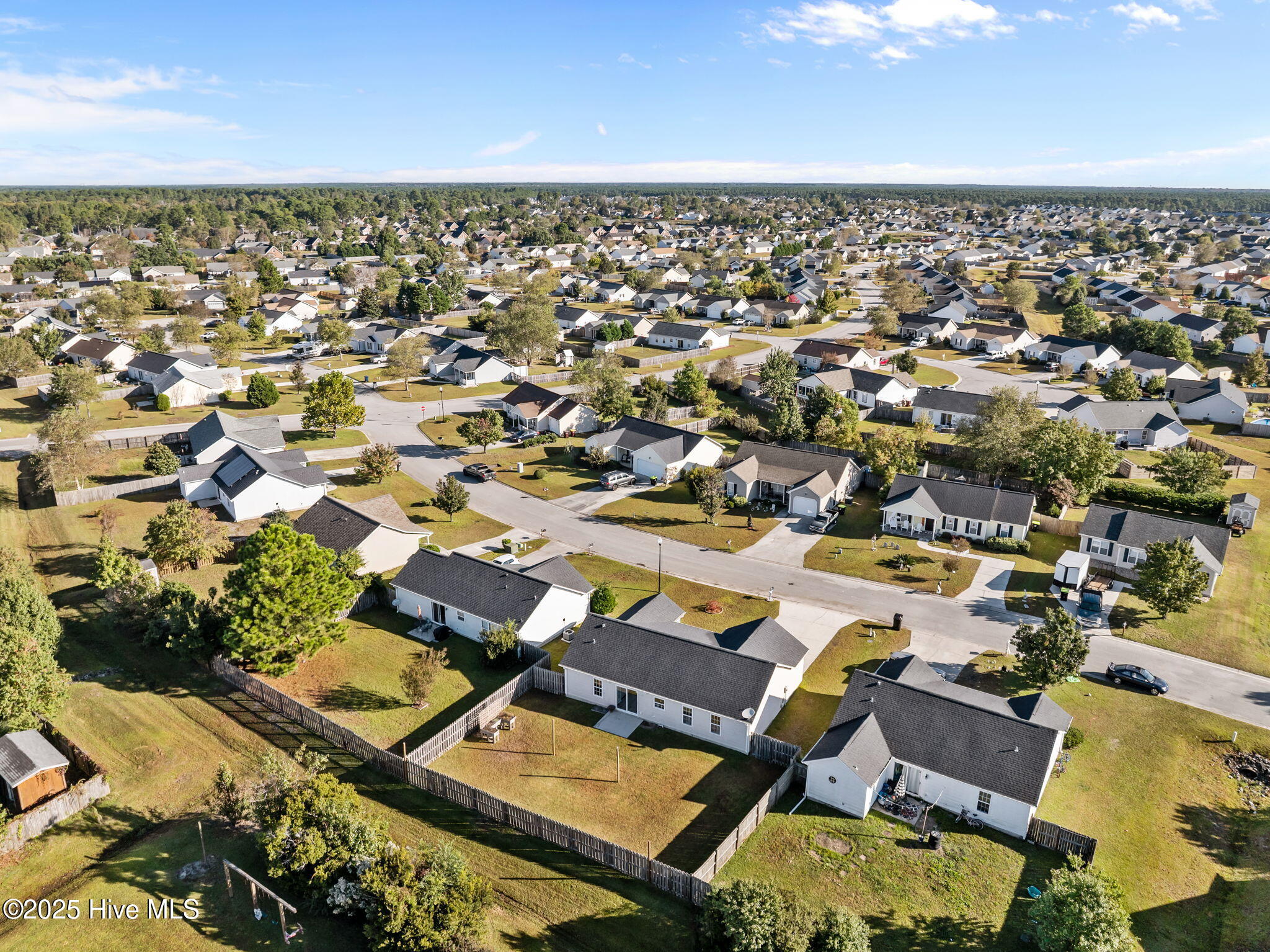 100537521 | Photo 46