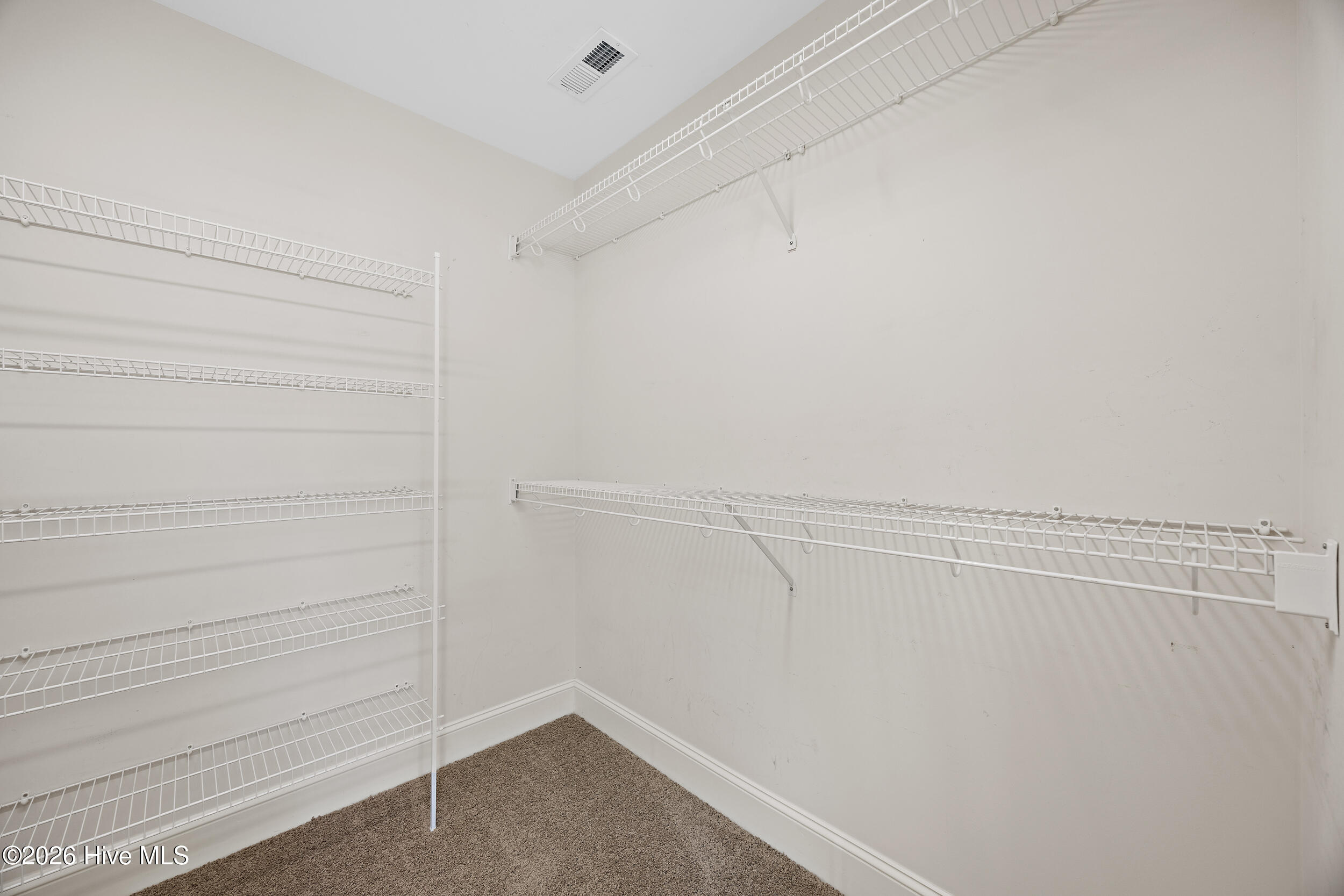 100564143 | Photo 20