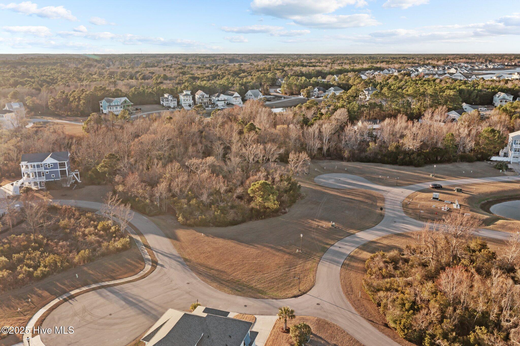 100559624 | Photo 13