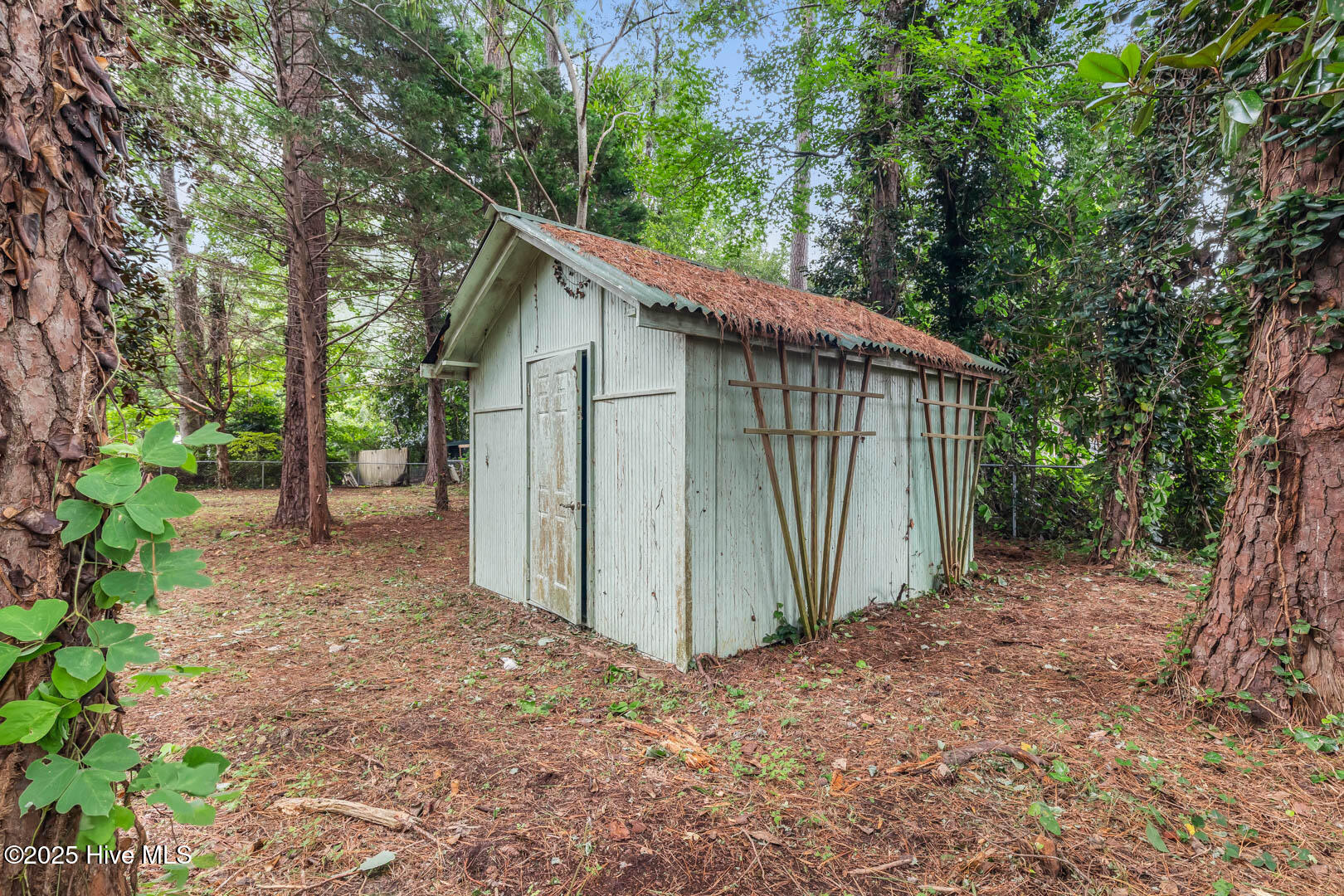 100526700 | Photo 37