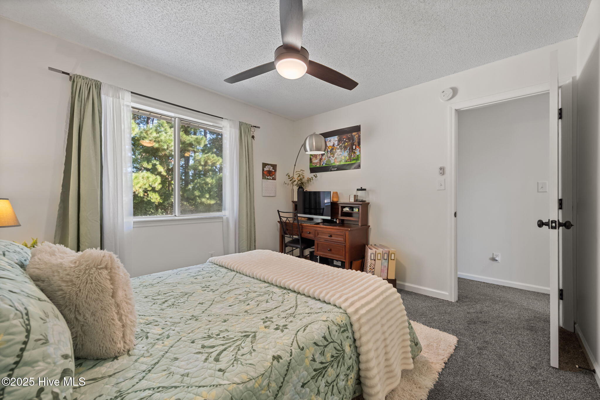 100539001 | Photo 29