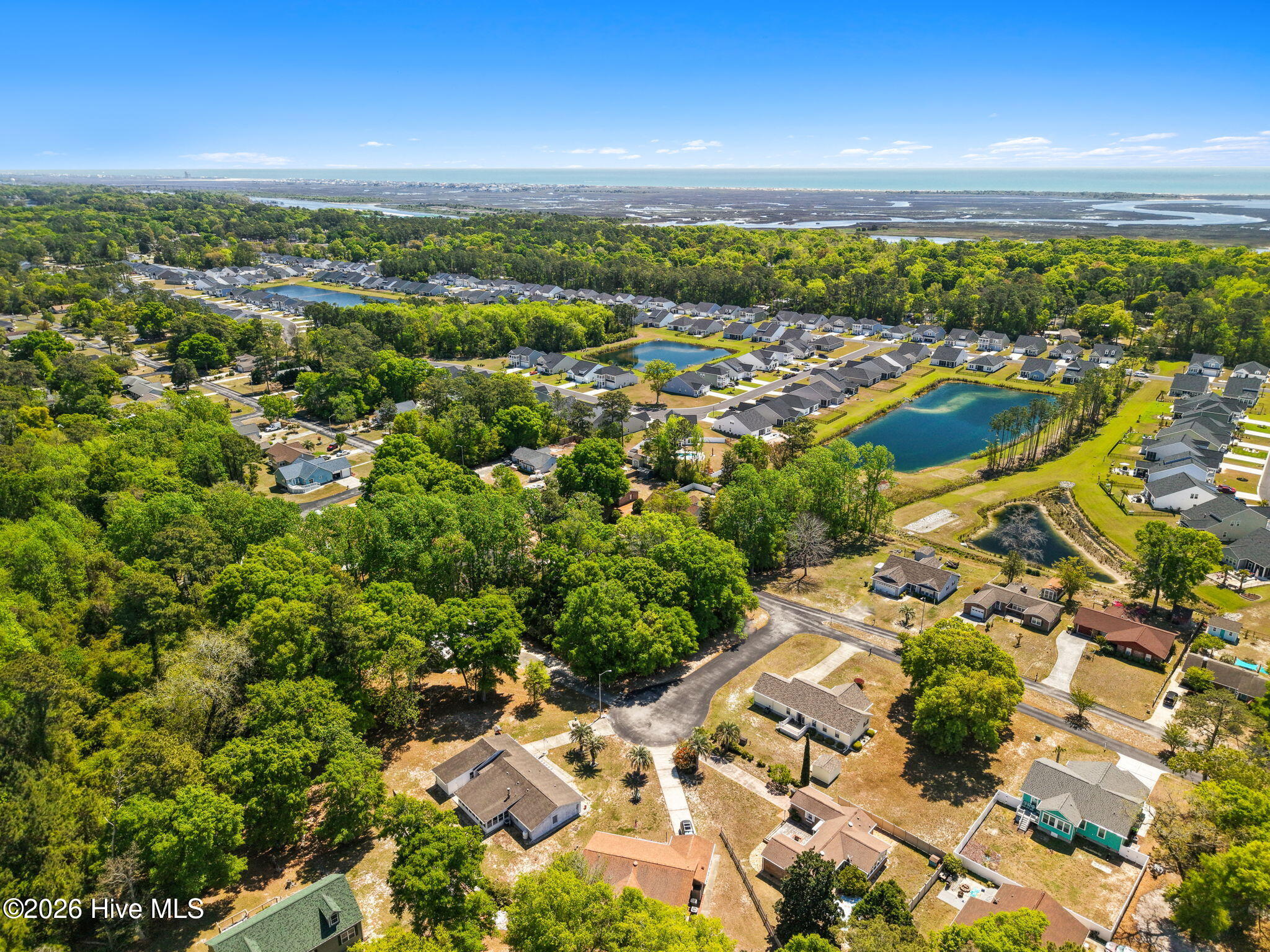 100566837 | Photo 17