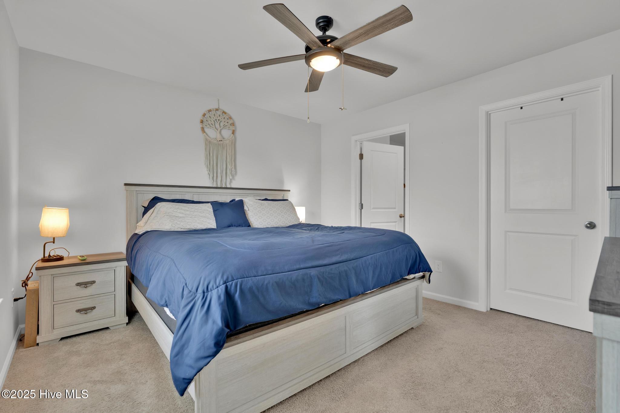 100532272 | Photo 18