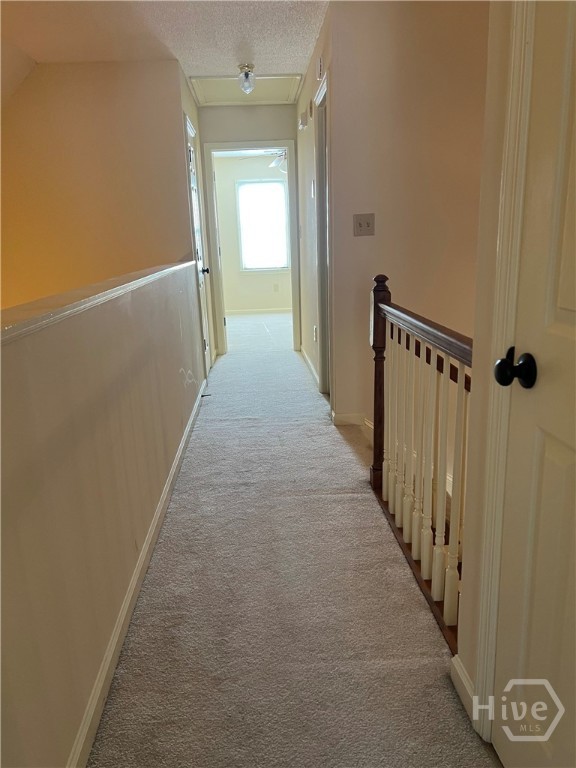 164 Lucy Lane, Athens, GA, 30606