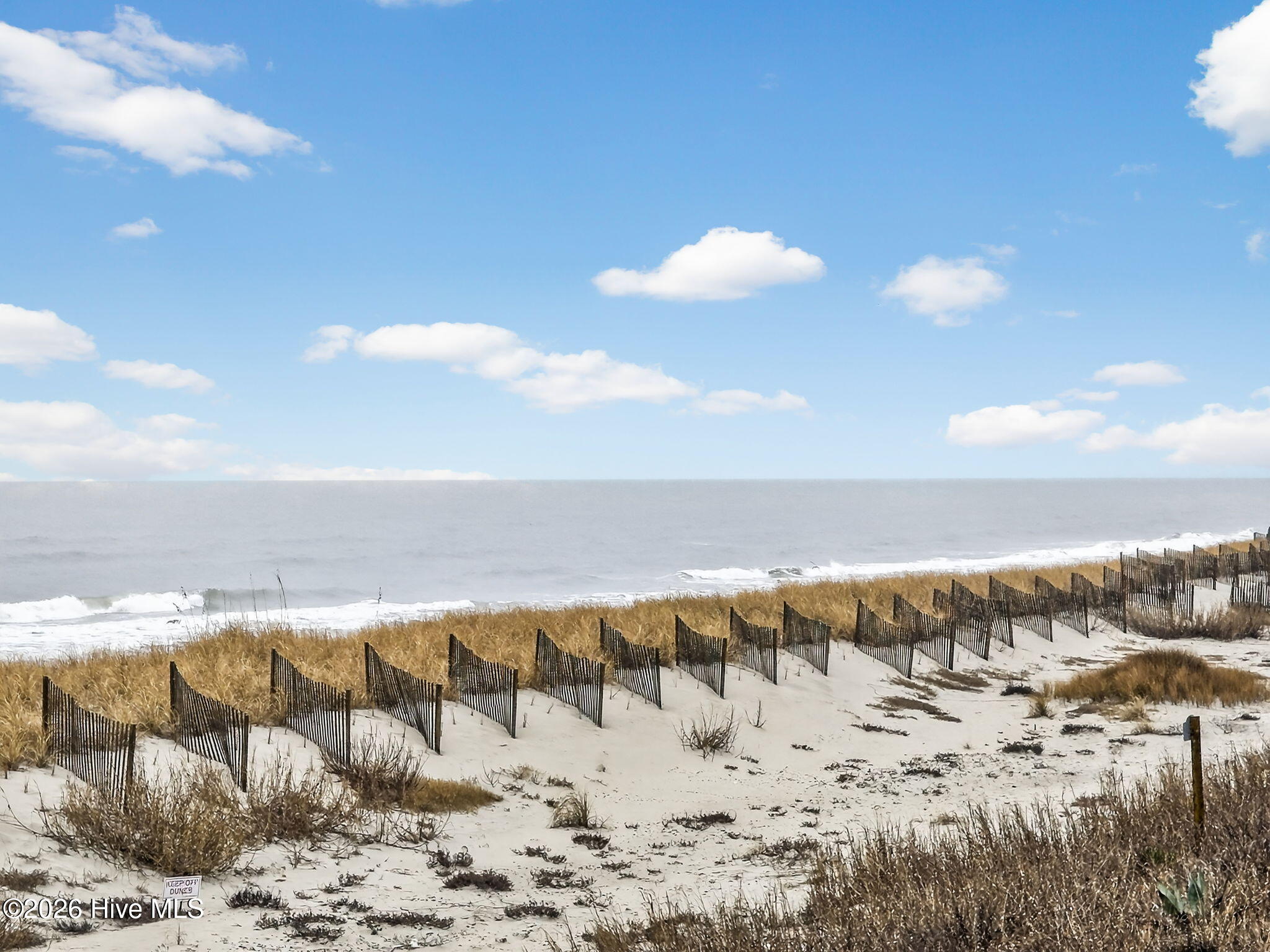 100558118 | Photo 37