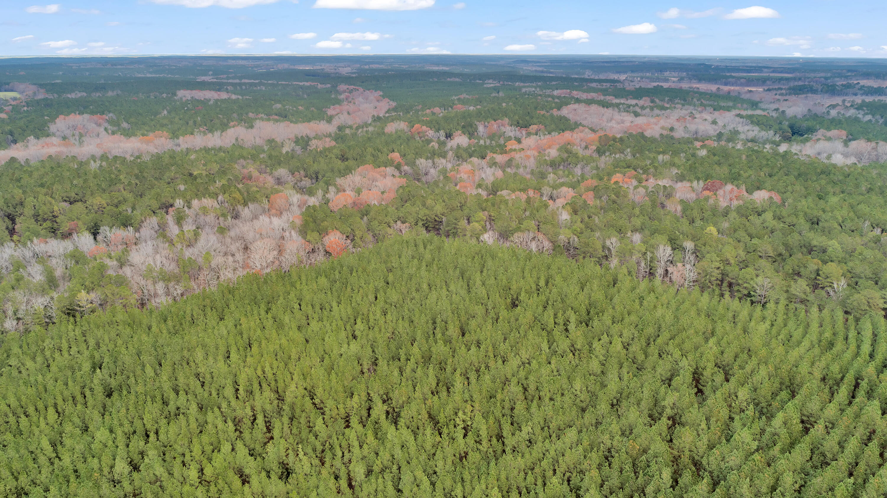 Saggus Rd land 121-007A, 400ft View, Dro
