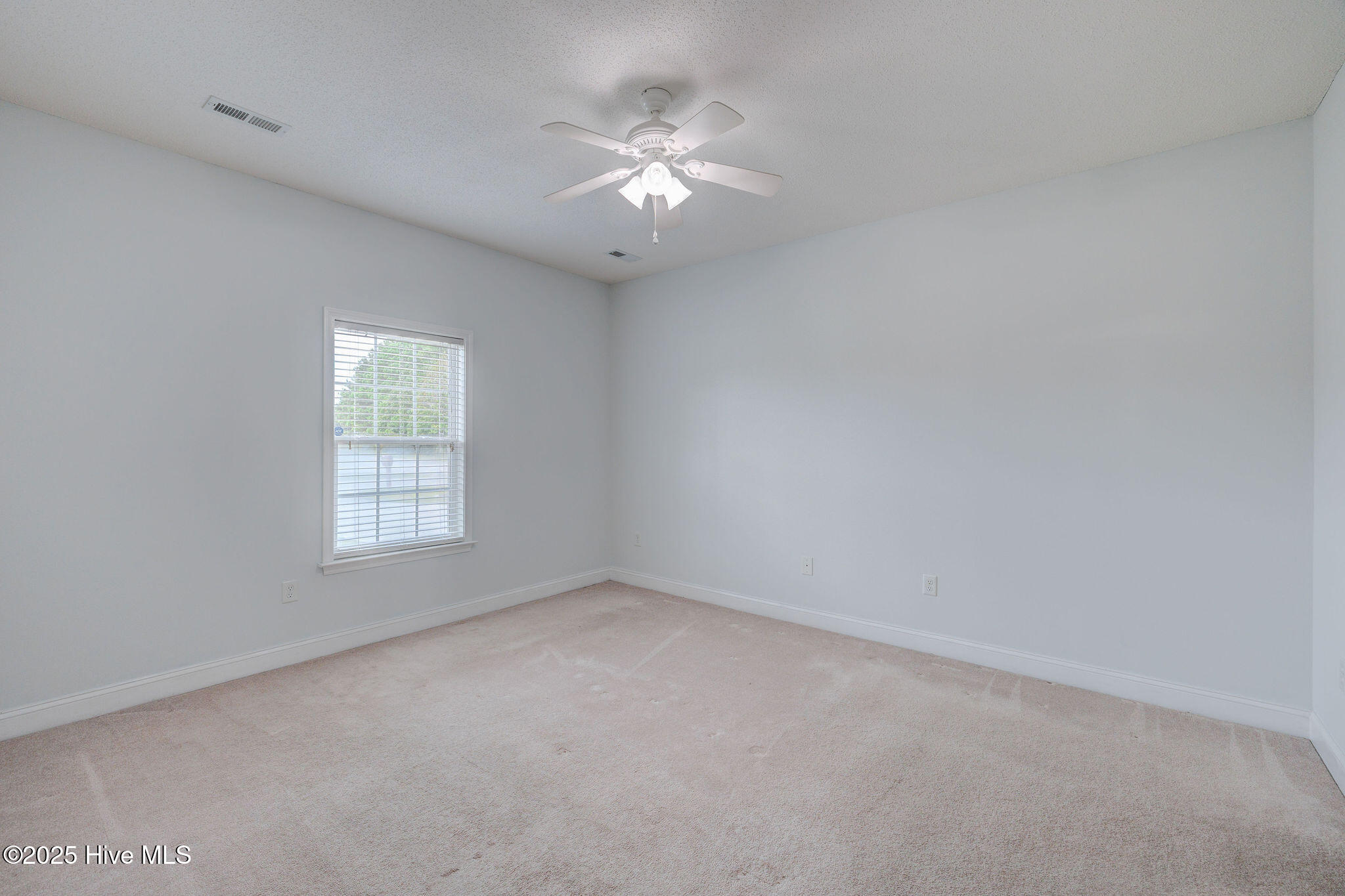 100530033 | Photo 22