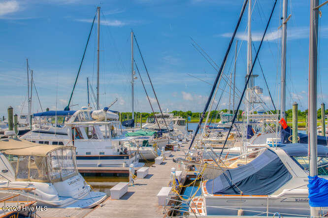 100562236 | Photo 39