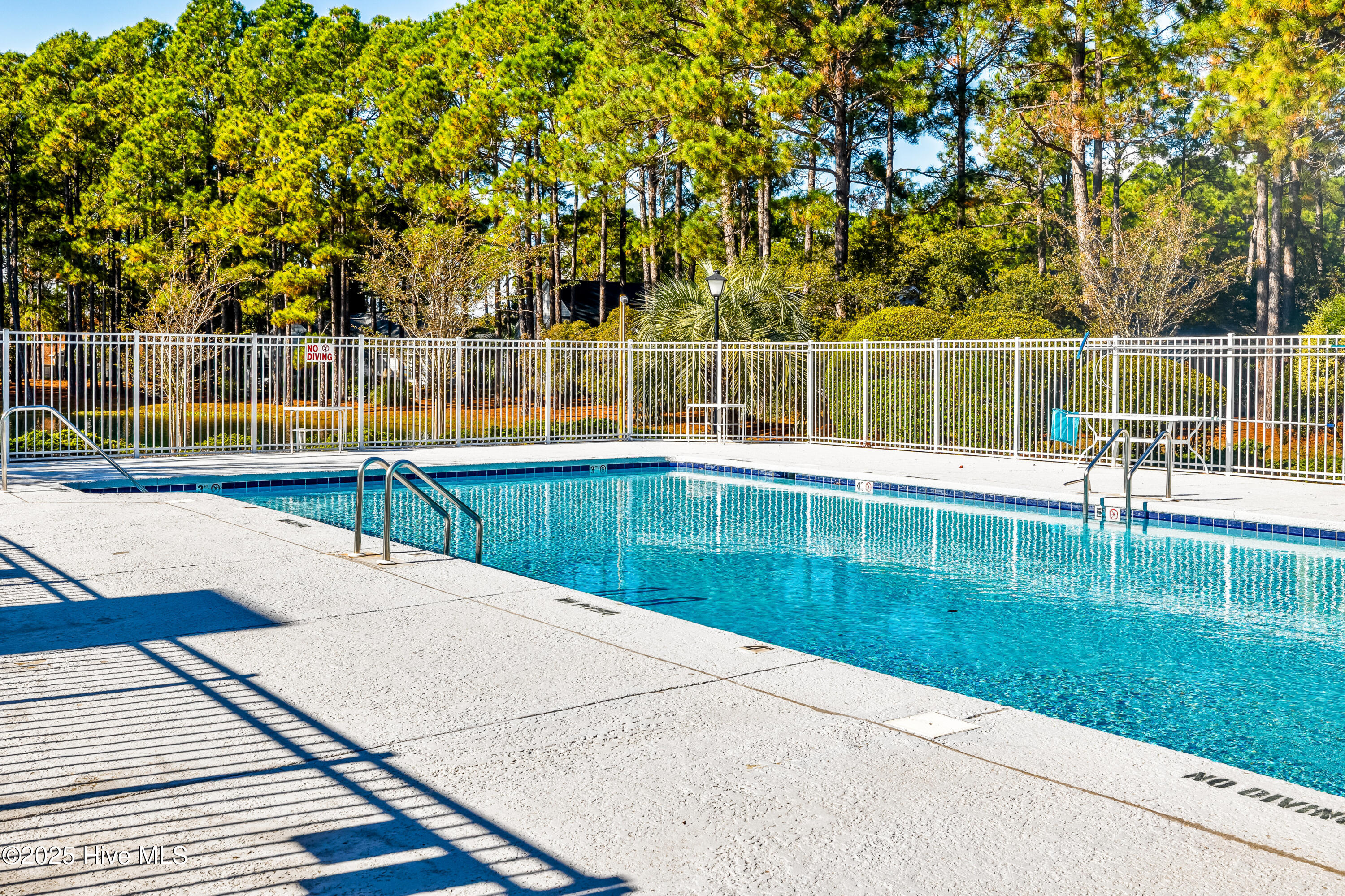 100540432 | Photo 39