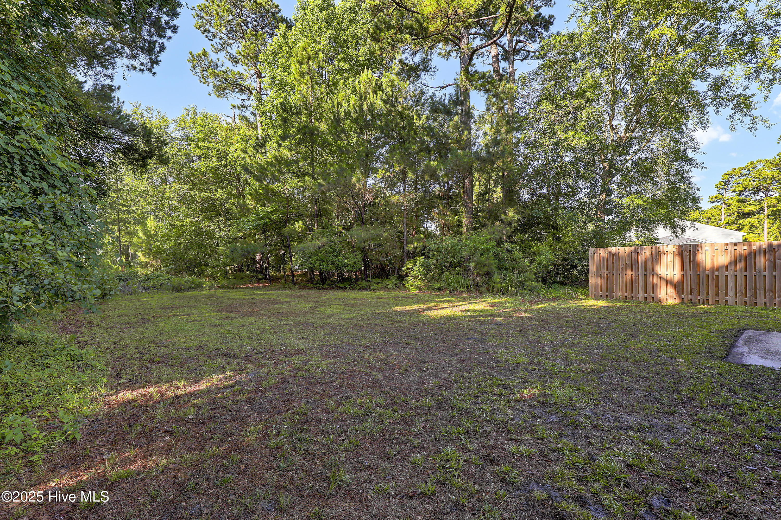 100543829 | Photo 24