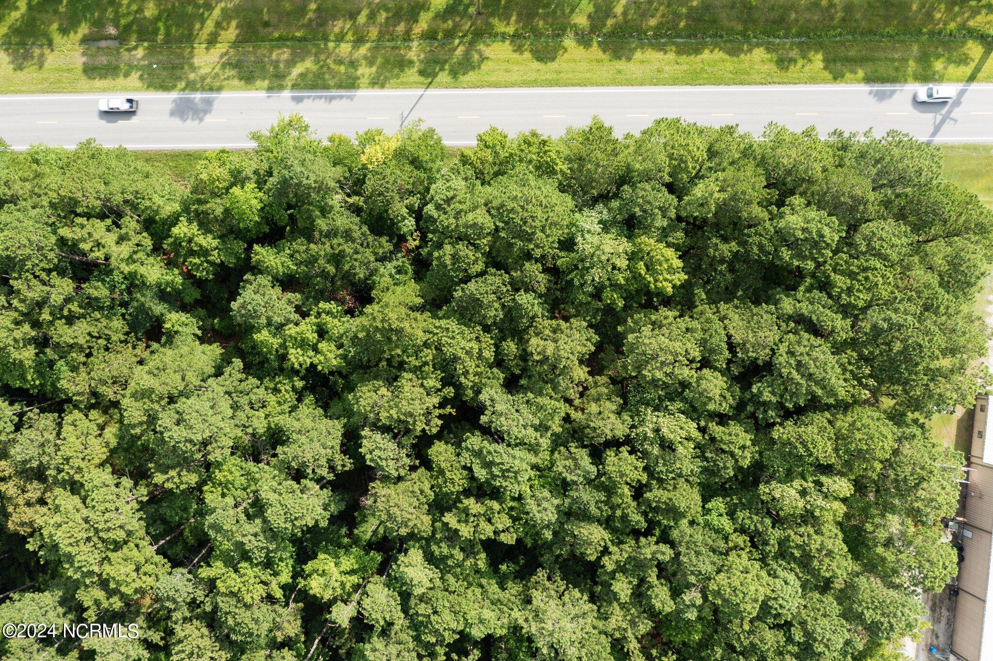 100405528 | Photo 15